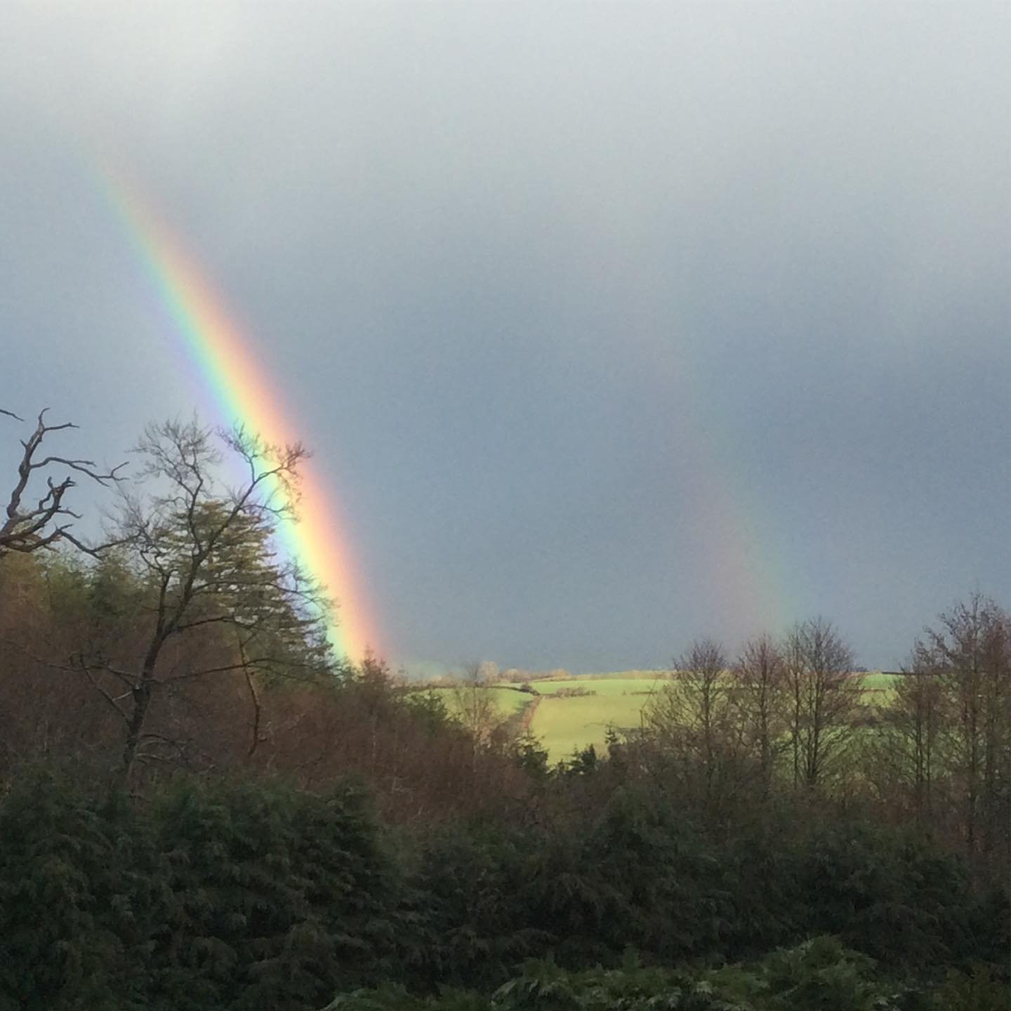 Stepping out of my back door.
Copyright © Tara Squibb 2022.