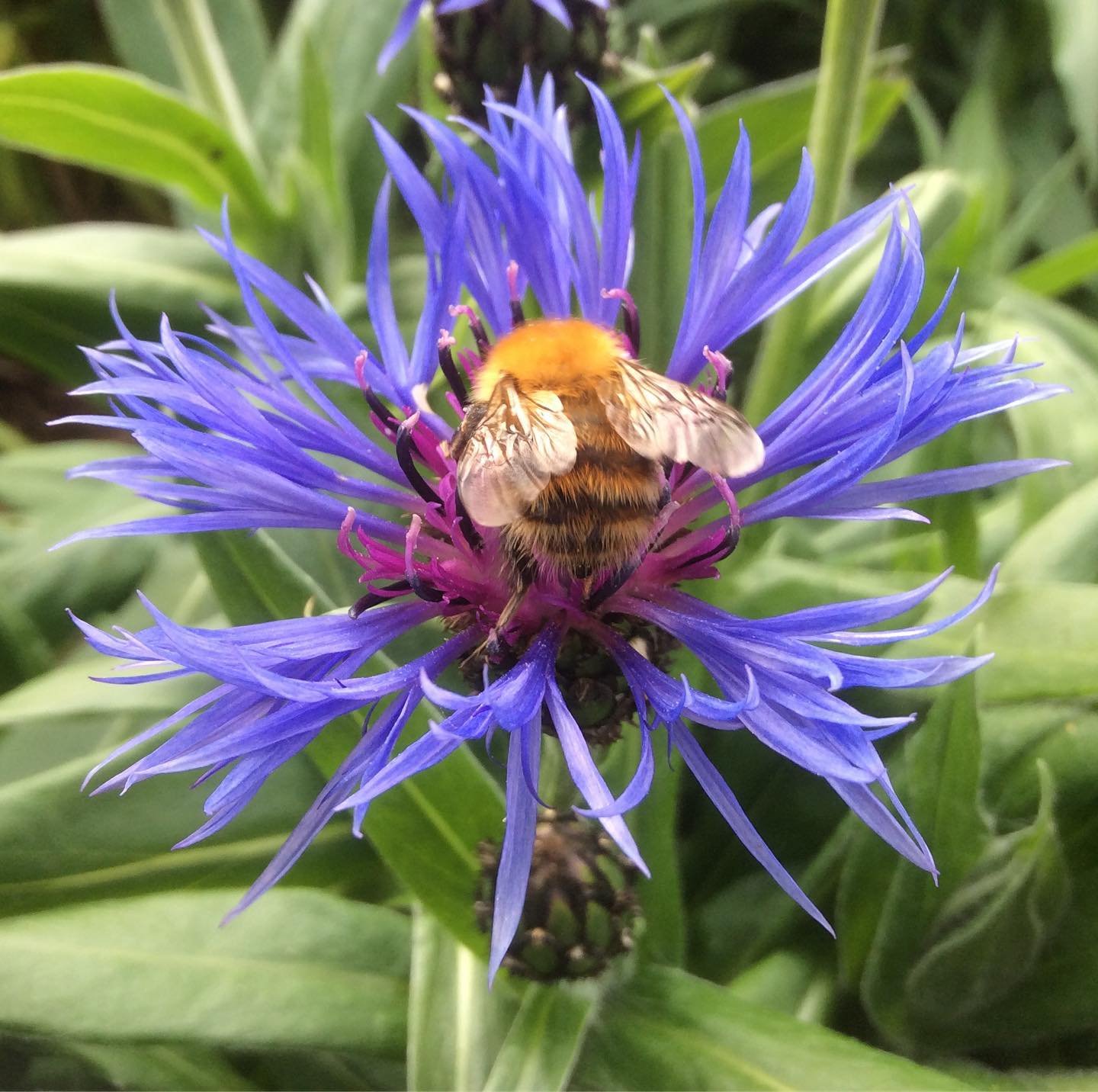 Stepping out of my back door.
Copyright © Tara Squibb 2022.