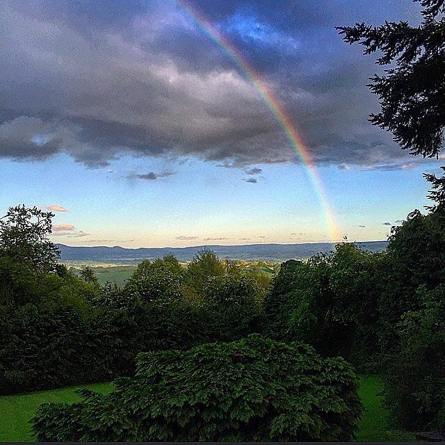 Stepping out of my back door.
Copyright © Tara Squibb 2022.