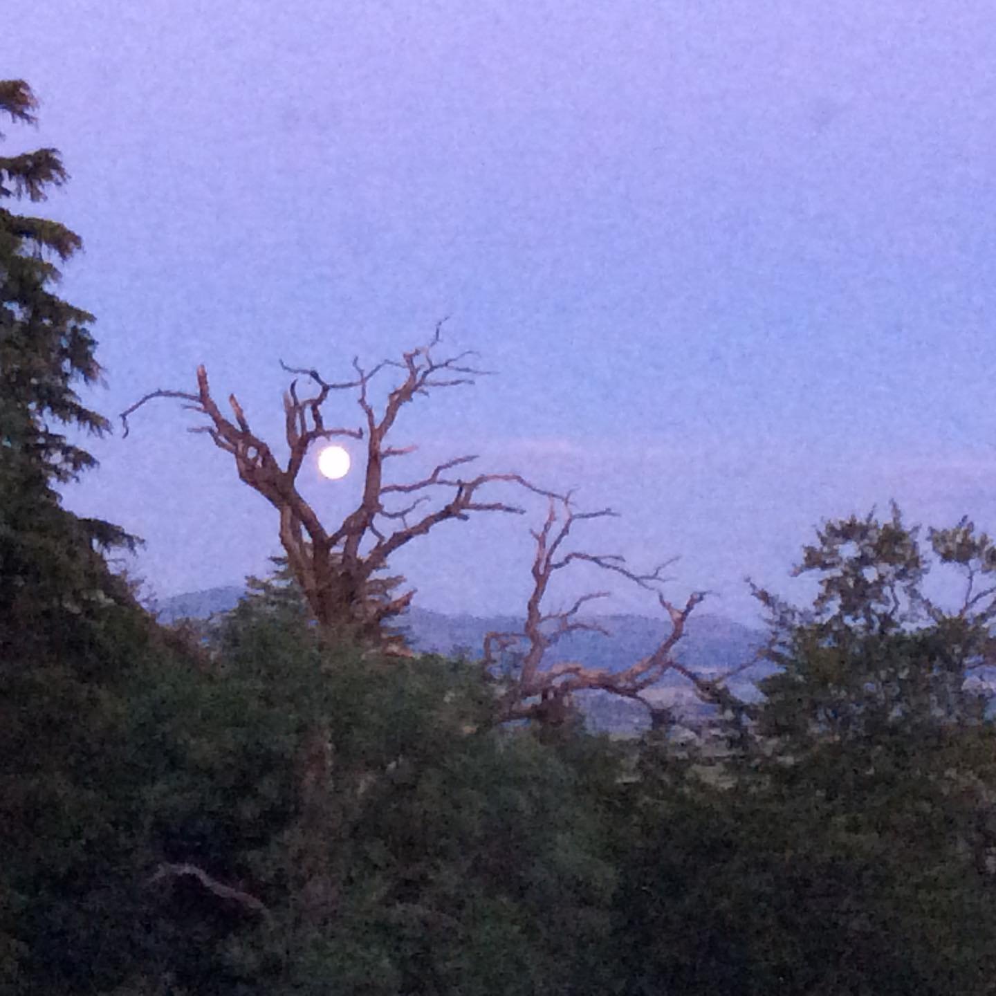 Stepping out of my back door.
Copyright © Tara Squibb 2022.