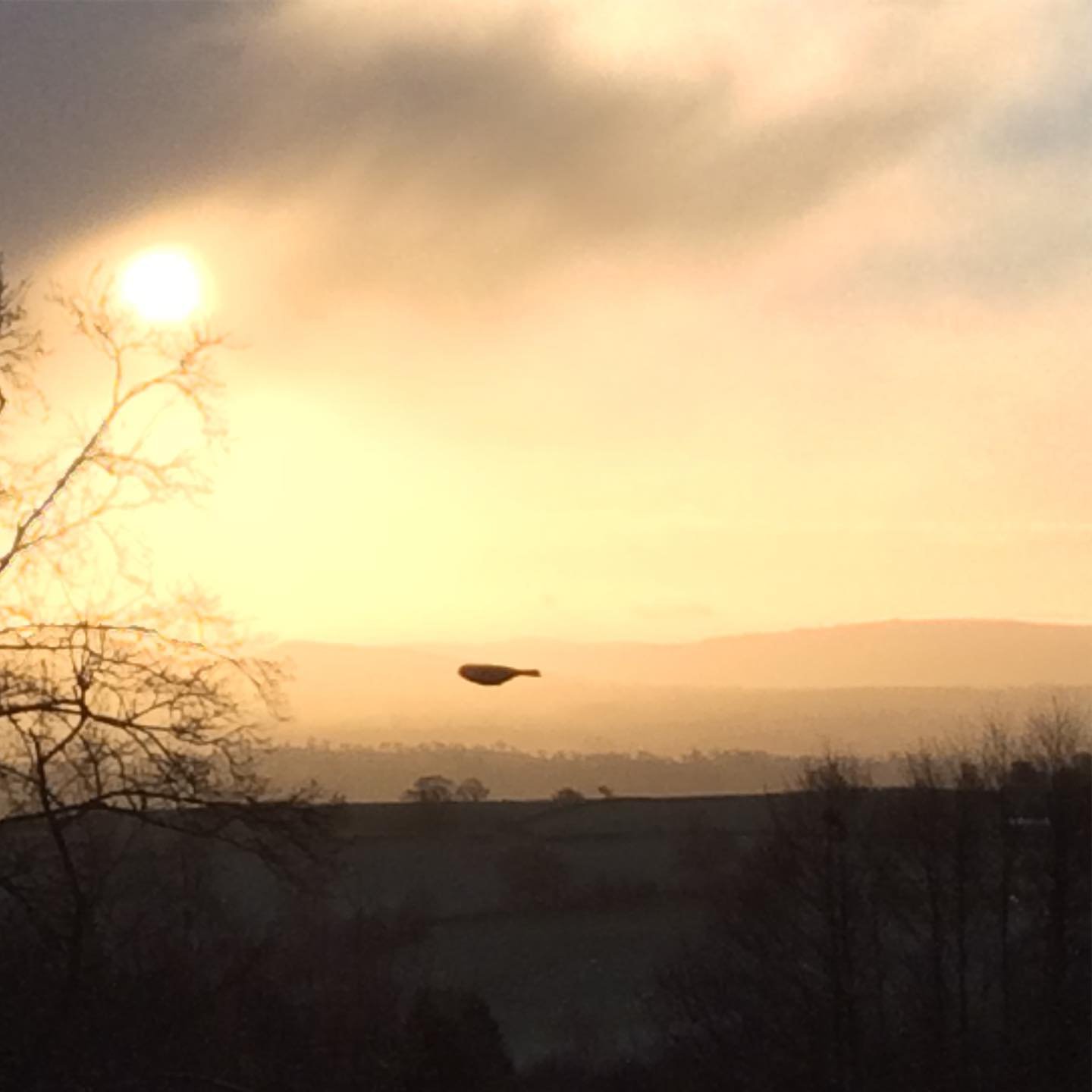 Stepping out of my back door.
Copyright © Tara Squibb 2022.