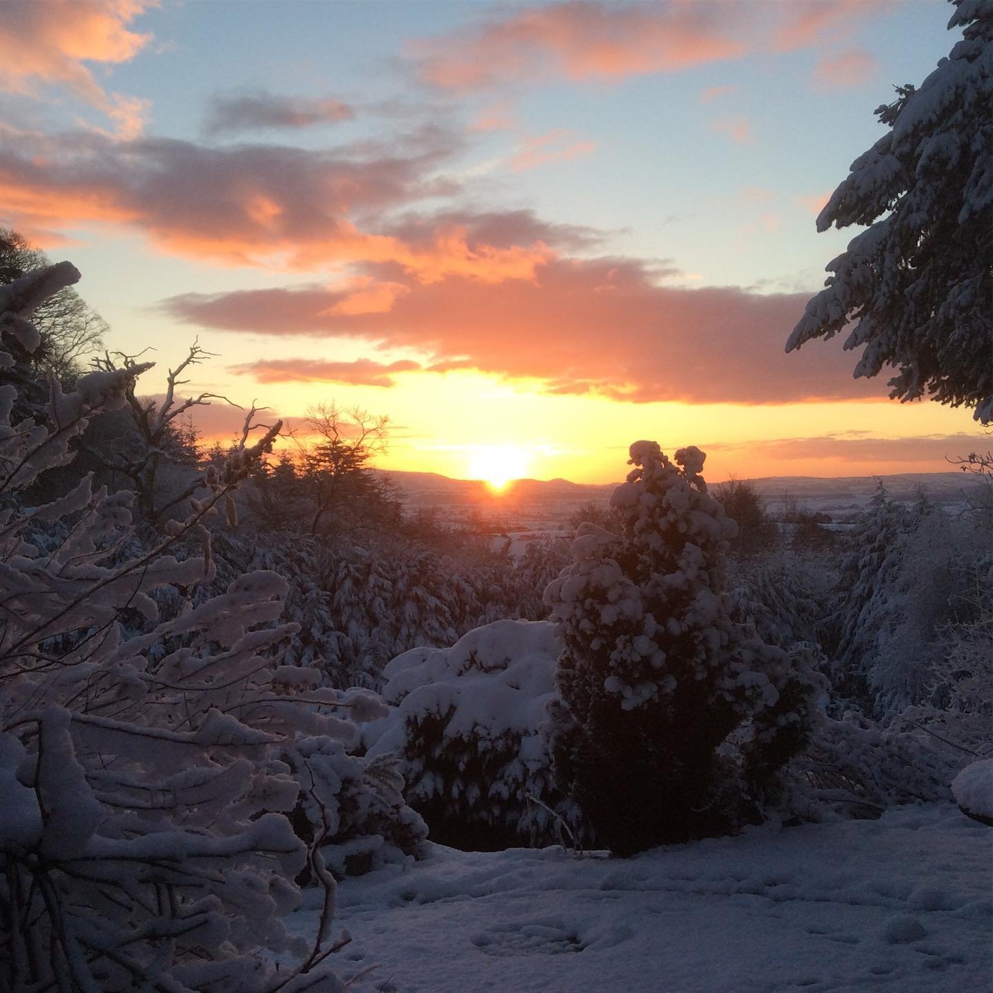 Stepping out of my back door.
Copyright © Tara Squibb 2022.