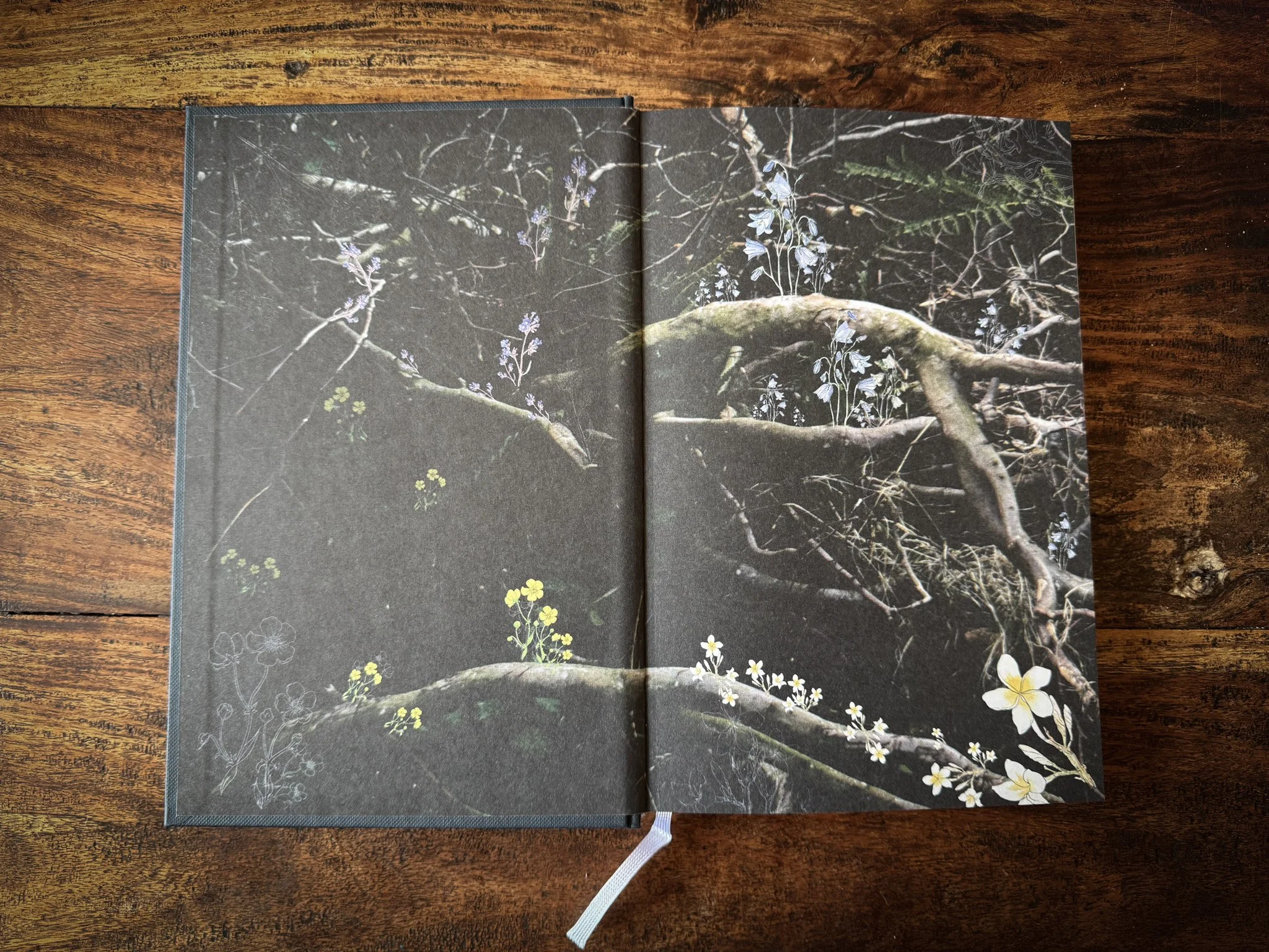 Endpapers design by Skirmantė Smažinienė and Laura (artist name: Martin)