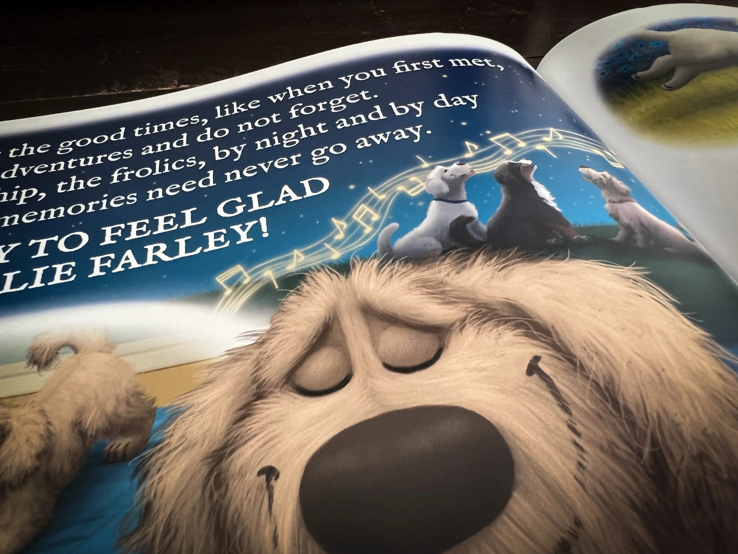 170gsm Silk Page Example