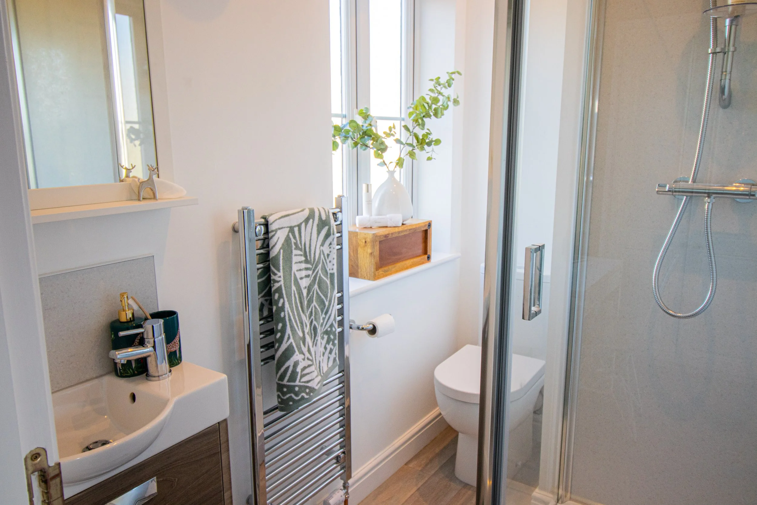 Anita - Colchester - Hedgehog-96.jpeg