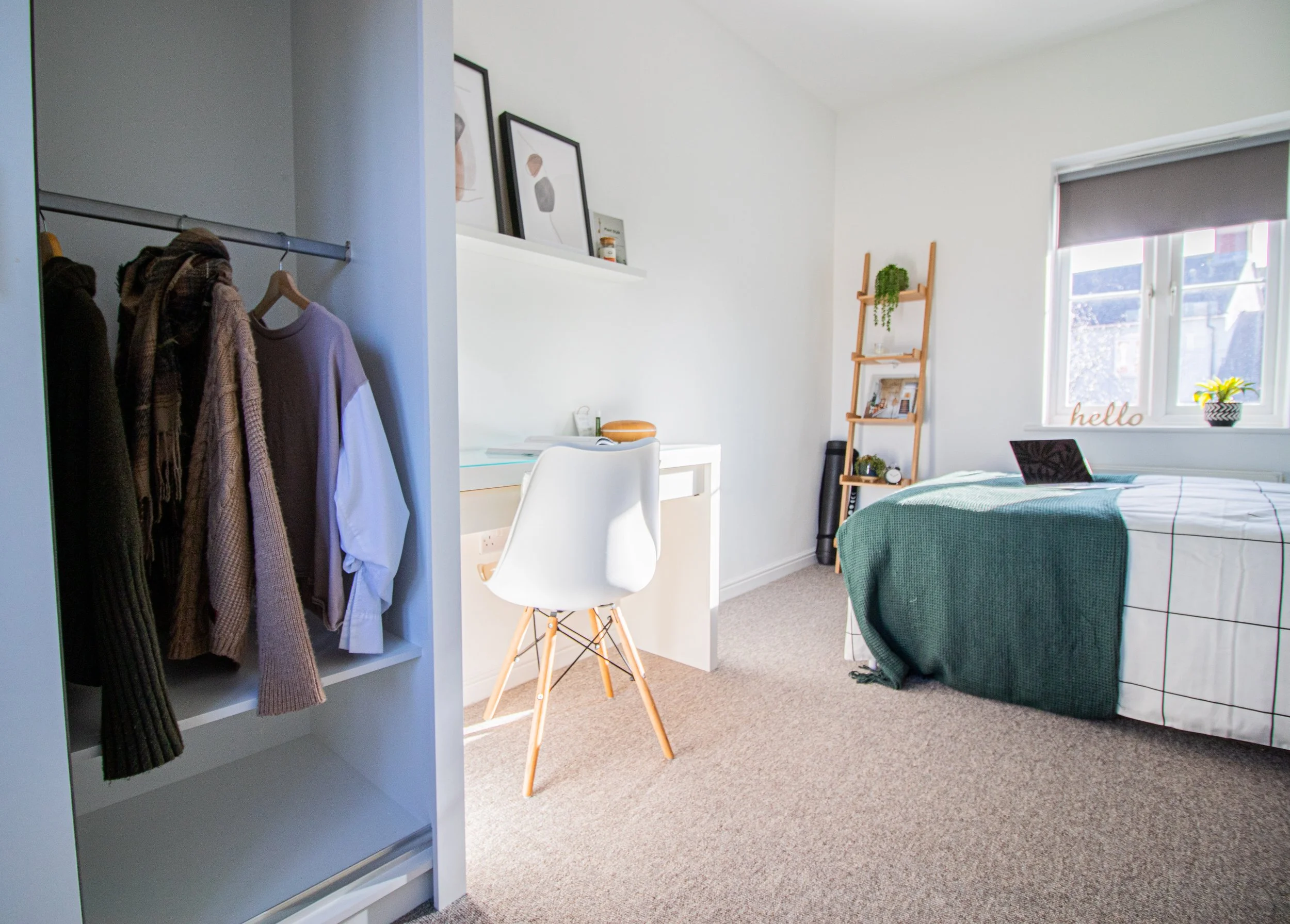 Anita - Colchester - Hedgehog-64.jpeg