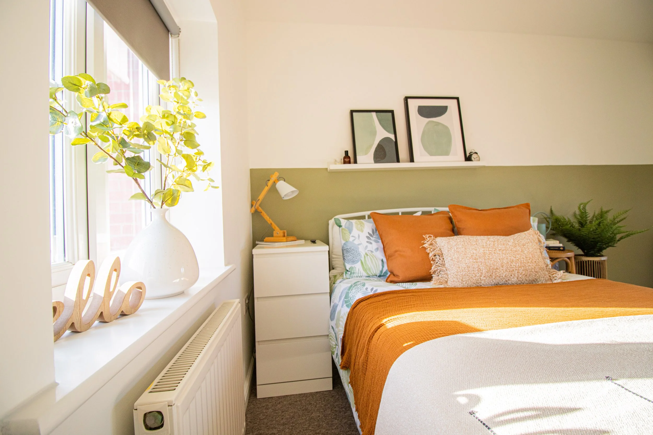 Anita - Colchester - Hedgehog-34.jpeg