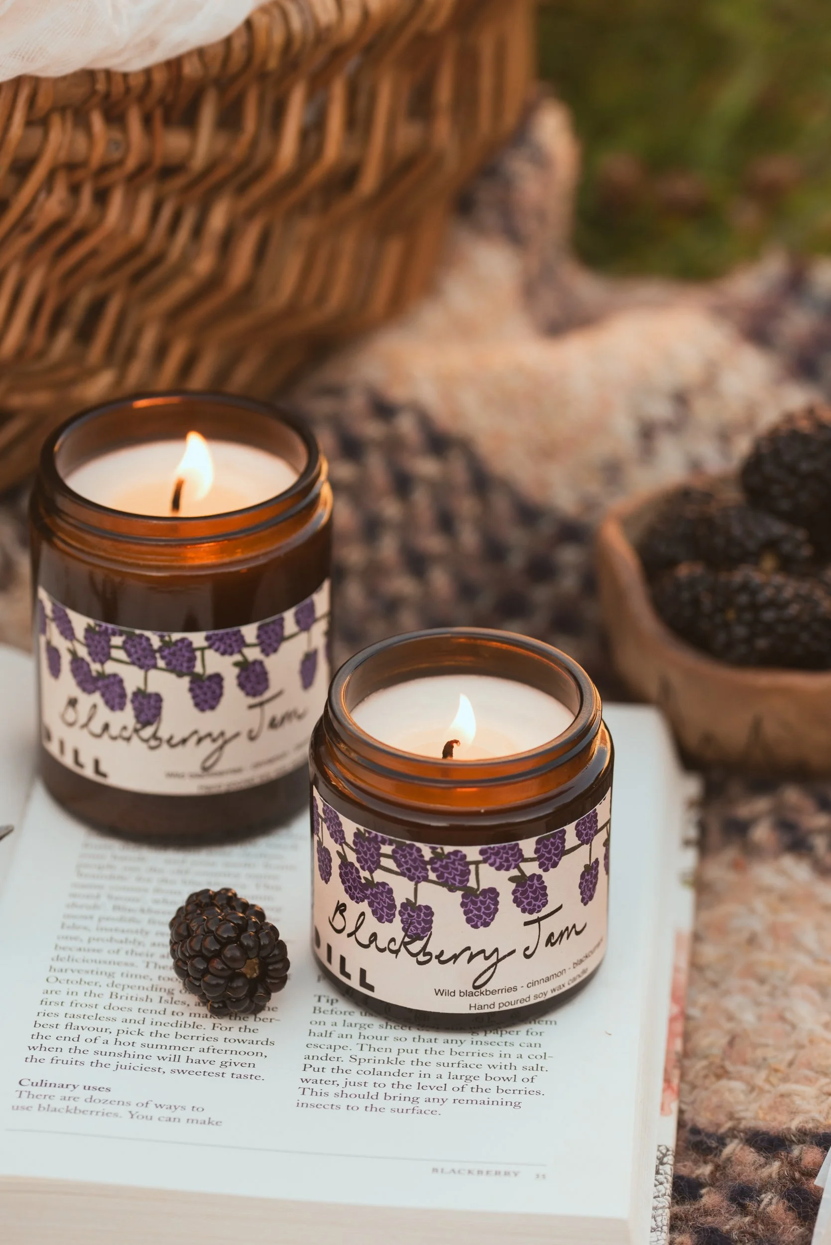Blackberry Jam-6.jpg