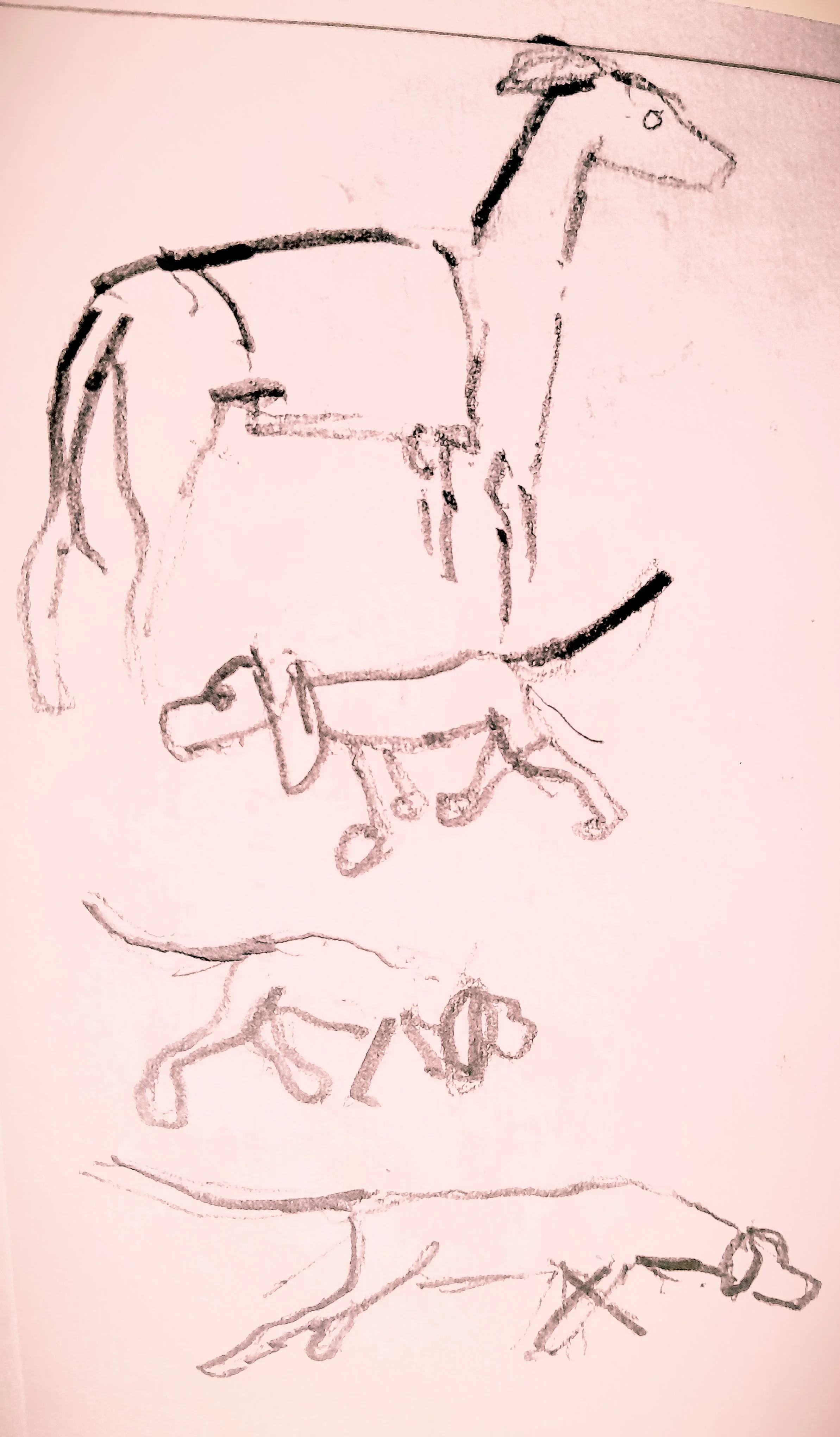 PSX_20251007_152814.jpg