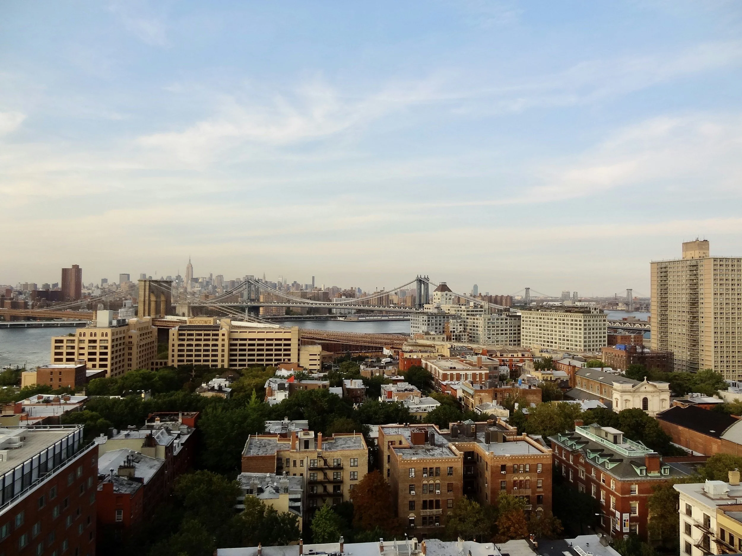 unsplash-image-1V5IgOp8GmU.jpg
