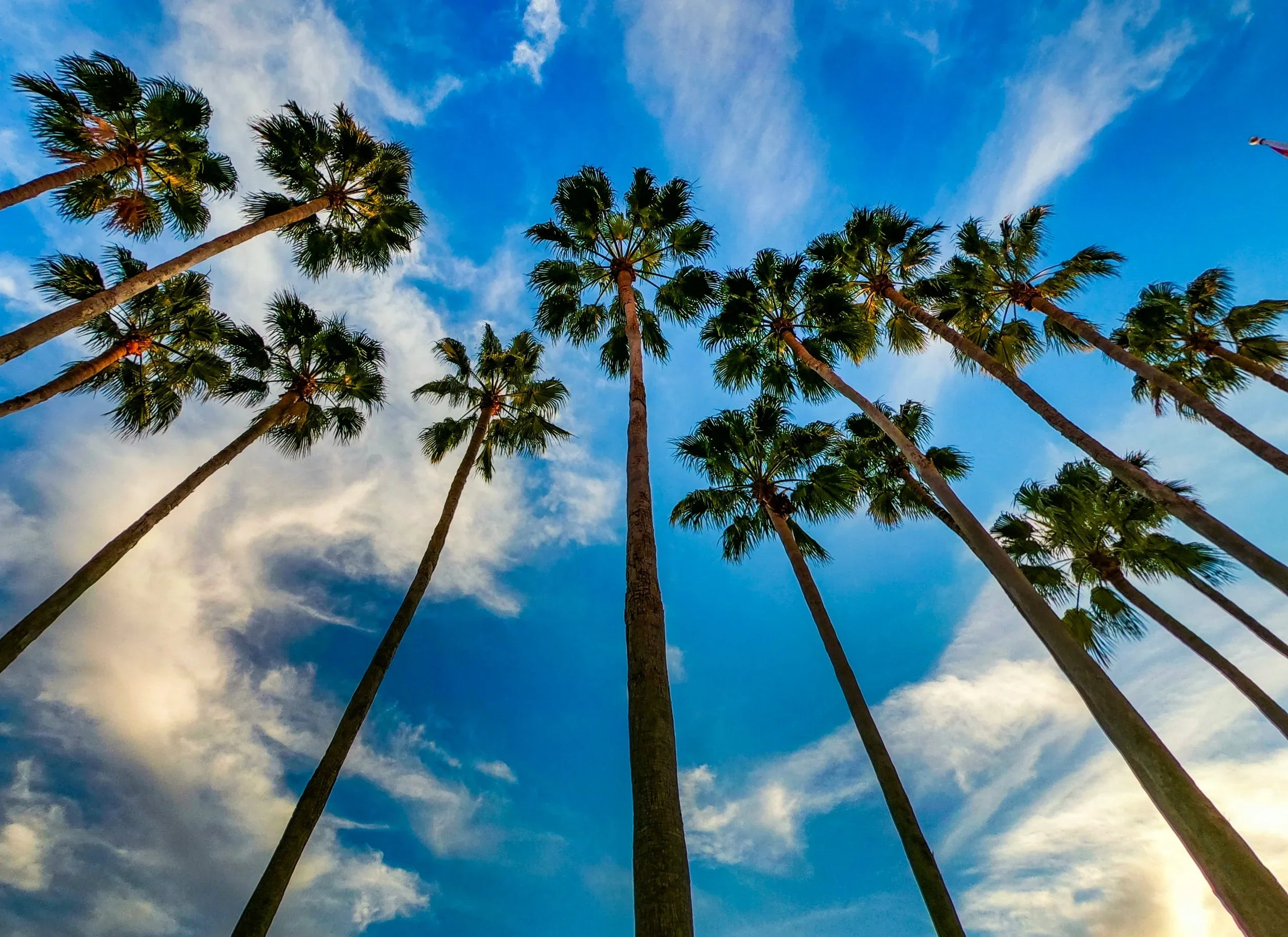 innovative-hearing-tampa-locations-jesse-adair-fxWp2gFCo3o-unsplash.webp