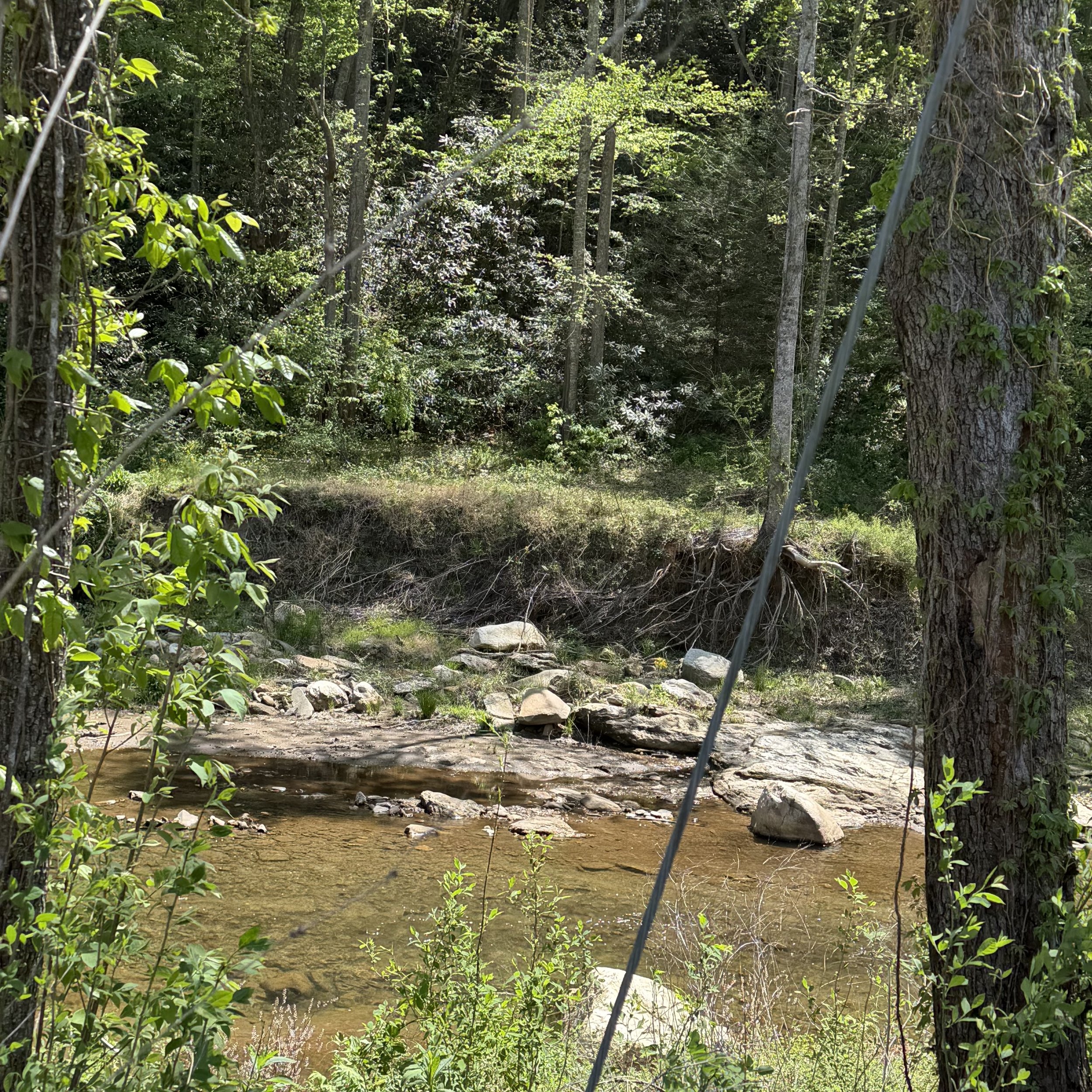 IMG_0318.jpeg
