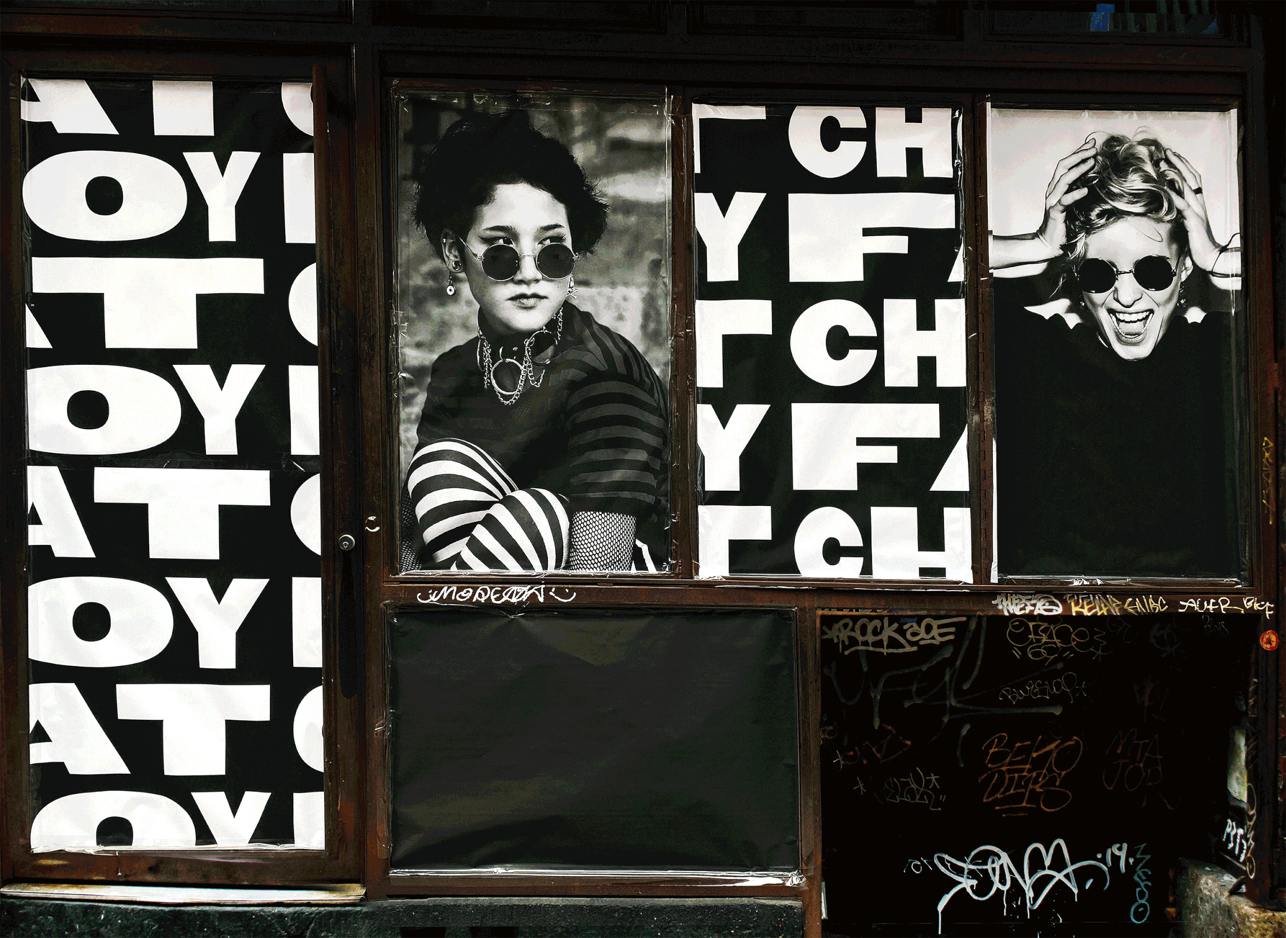 Fat Choy Window Meghan Wittbrodt.gif