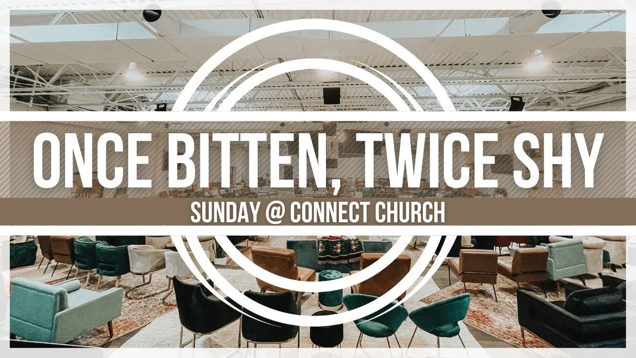 Once Bitten, Twice Shy