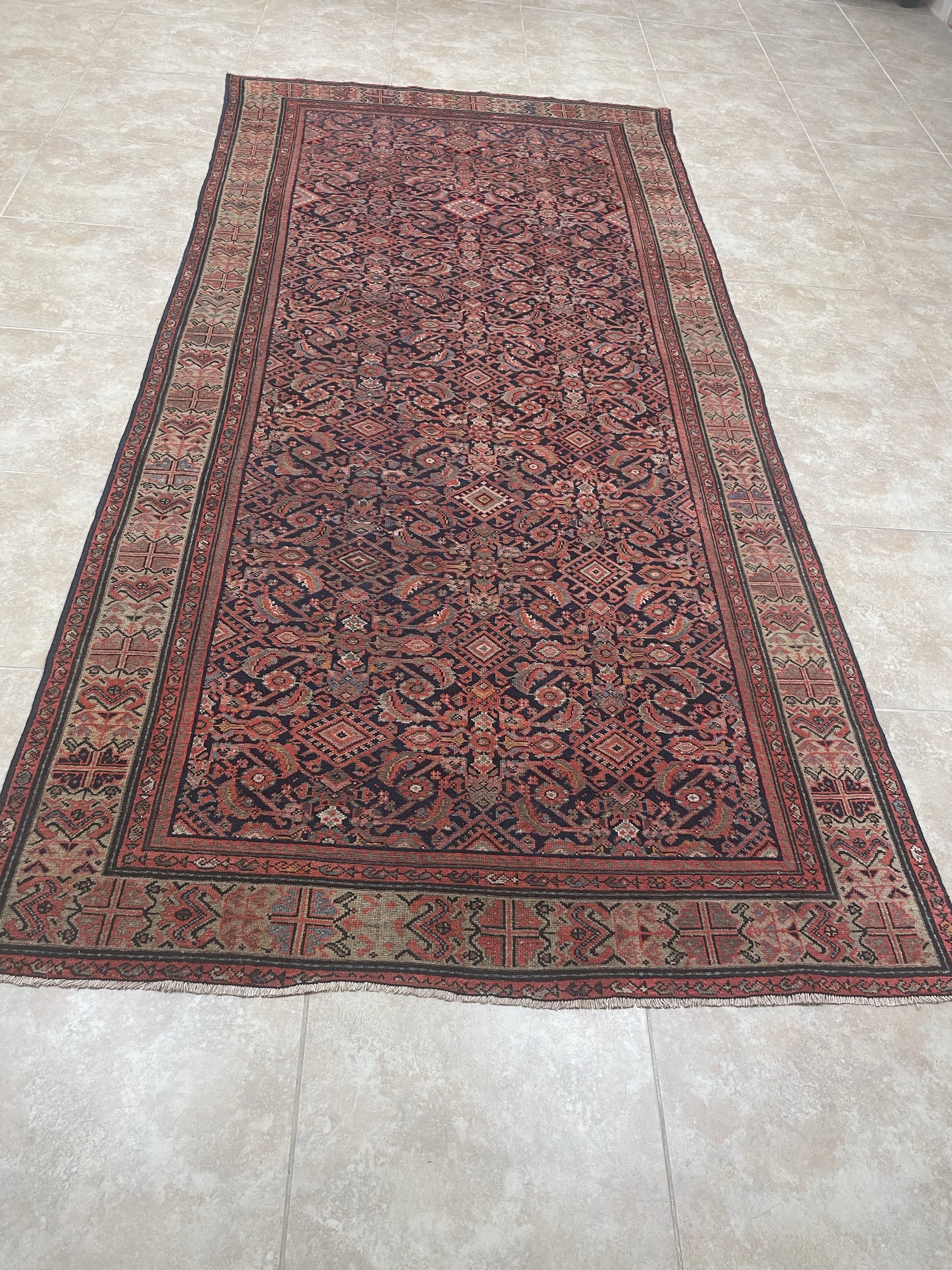 'Noor' AS 195