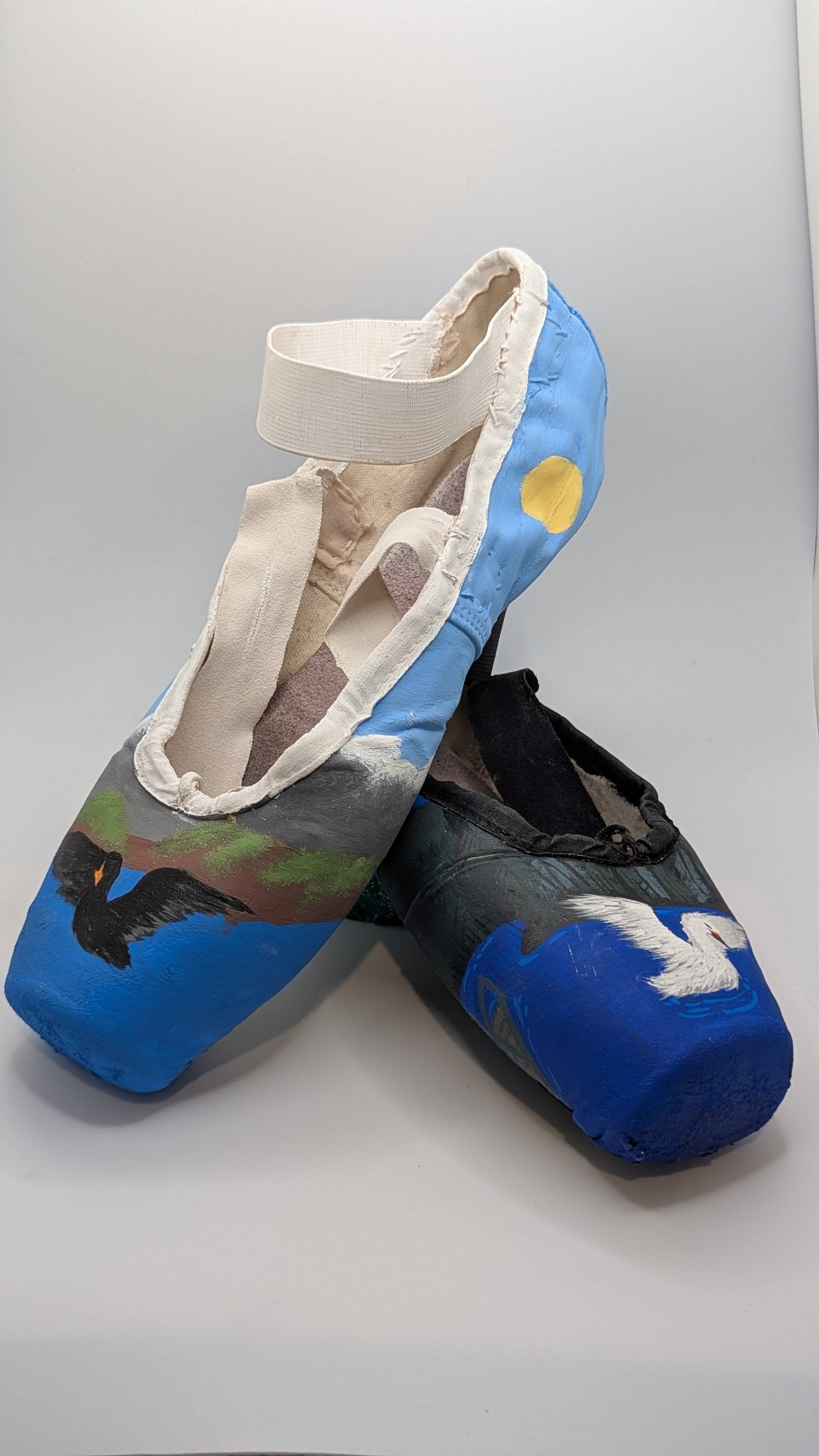 Swan Shoes by Hava Carrasco