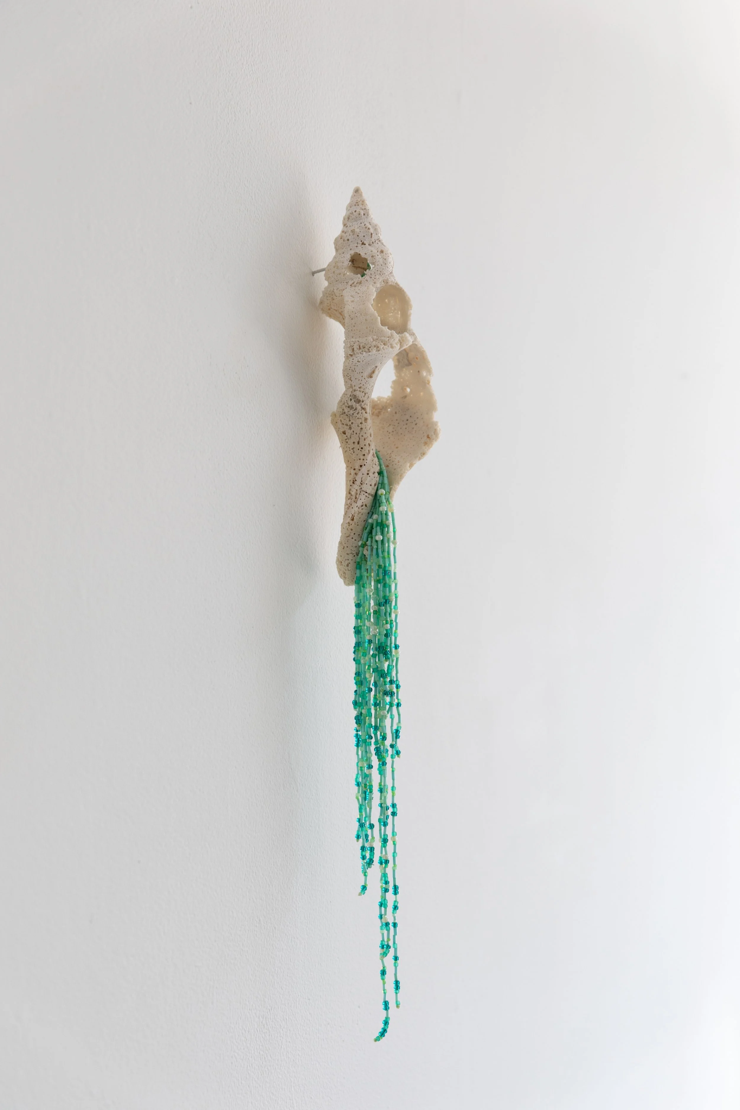 JANIE_STAMM_RELICI_20X4X2_SHELLBEADSTHREAD_2021_850_DETAIL1.jpg