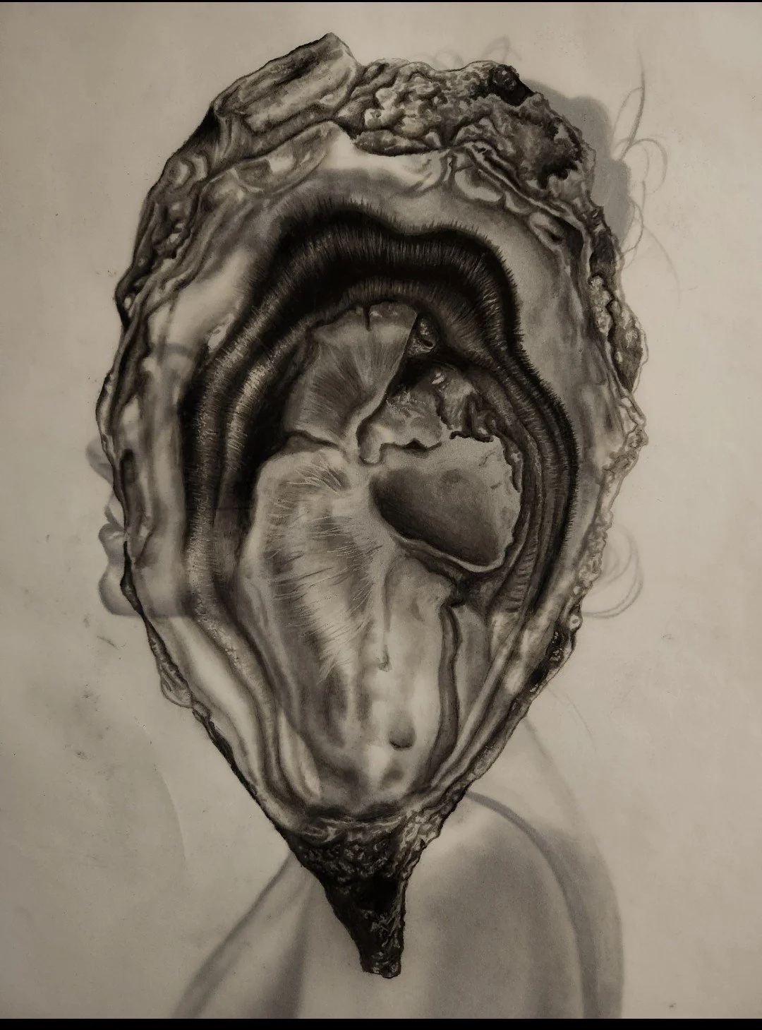 KATHERINE_MURCHISON_HALVED._18X24_CHARCOAL_2025_700.jpg