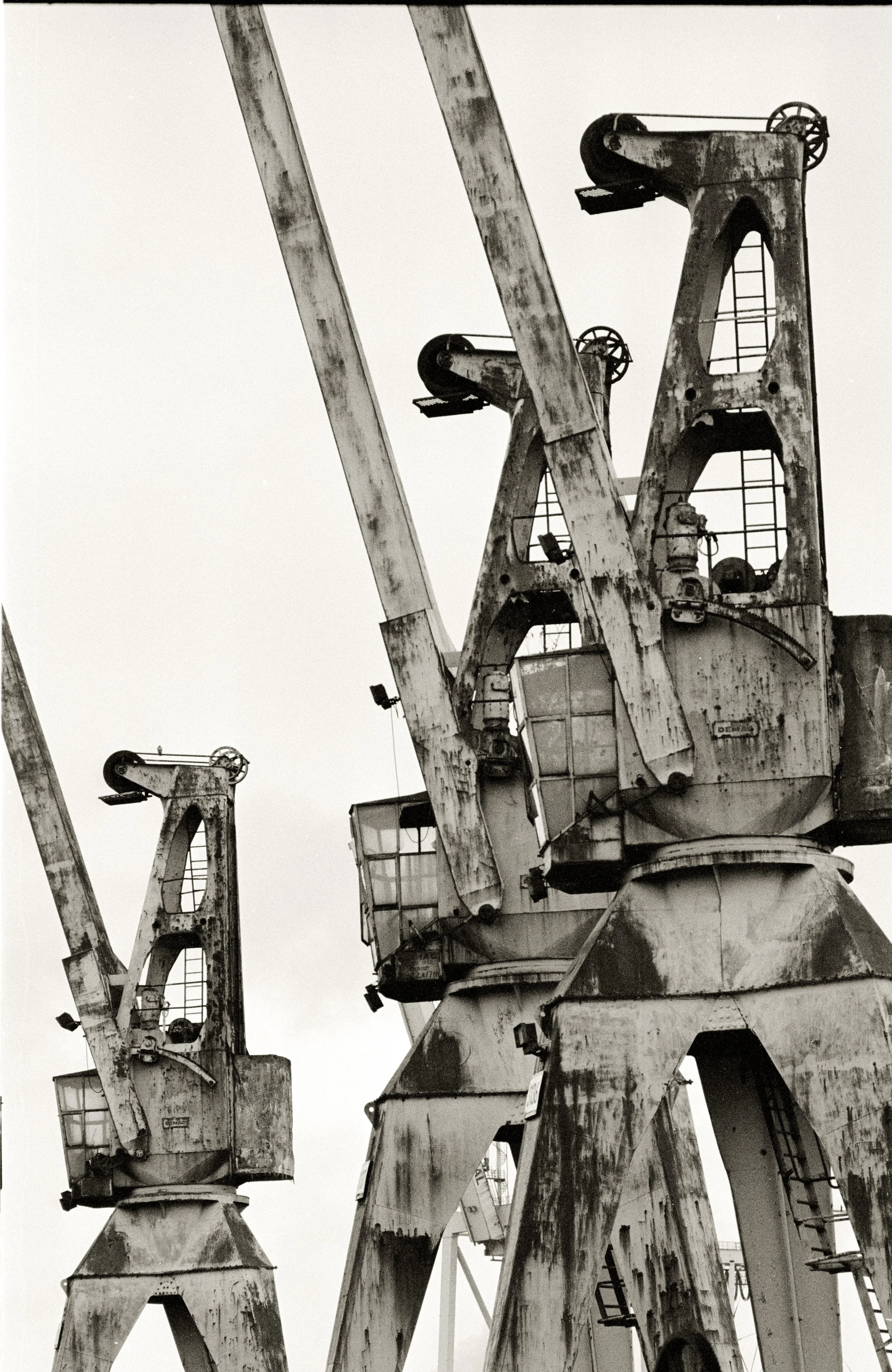 Scan-251222-0007.jpg