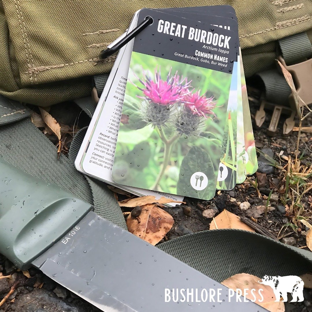 Gear up for a successful foraging excursion with these essential tools!

A sturdy backpack or haversack is a must for carrying all your foraging finds and supplies. A reliable water bottle is essential for keeping you hydrated throughout your journey
