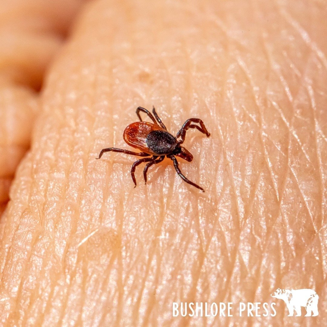 Foraging can be an enriching and life-changing experience, but it's important to be aware of potential hazards such as toxic plants, poisonous reptiles, spiders, and ticks. These tiny pests can carry diseases such as Lyme disease. Therefore, identify