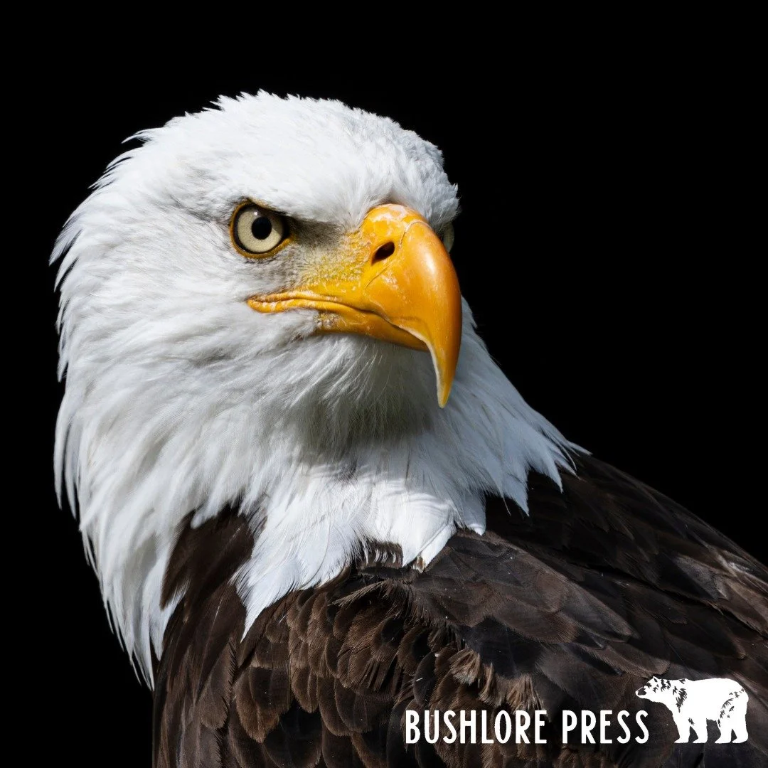 This Memorial Day, we pause to honor the brave men and women who gave their lives in service to our country.

Their sacrifice is the reason we&rsquo;re able to live, gather, roam, and roam free.

For many of us, that freedom means mornings on the tra