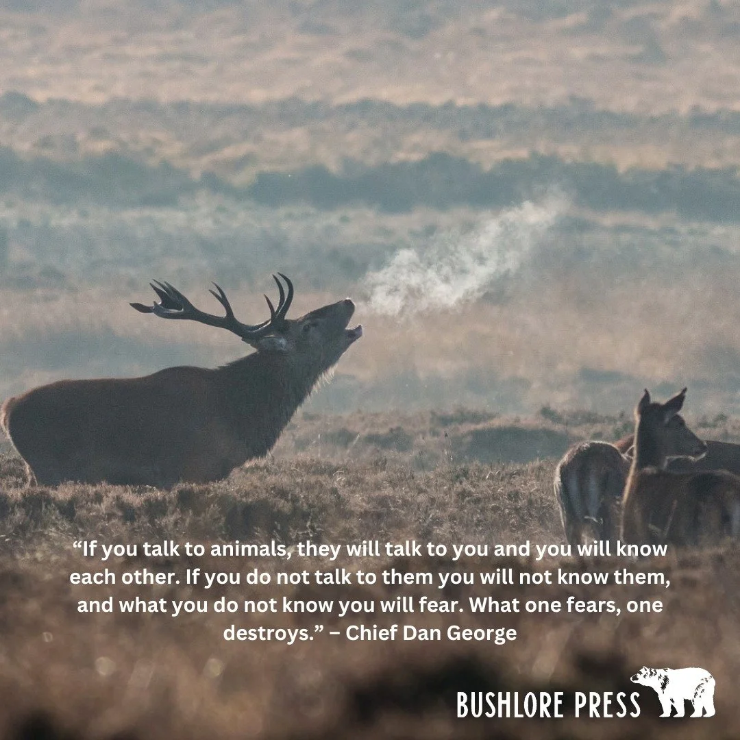 #Bushlorepress #PocketFieldGuides #WildEdibles #ForEarth #wearenature #forager #sustainableliving #becoming_medicine #gratitude #abundance #nature #foraging #ancestralskills #natureconnection #bushcraft #survival #inthewoods #wearenature #landbasedle