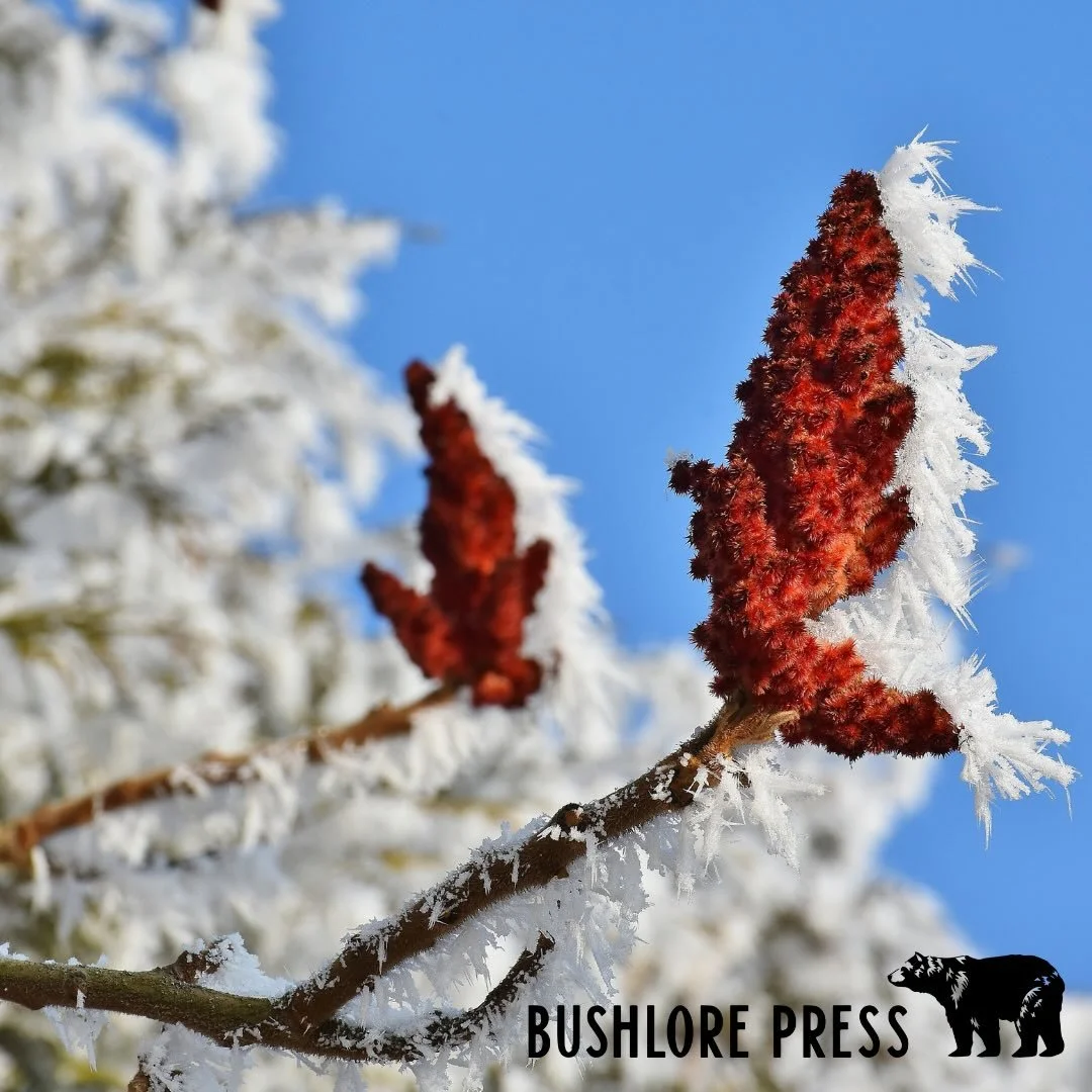 With the new year quickly approaching, pause for a moment and look back at where your feet have been.

Another year of miles. Another year of weather, dirt, mistakes, small wins, and quiet lessons. Growth does not come from speed or noise. Growth com