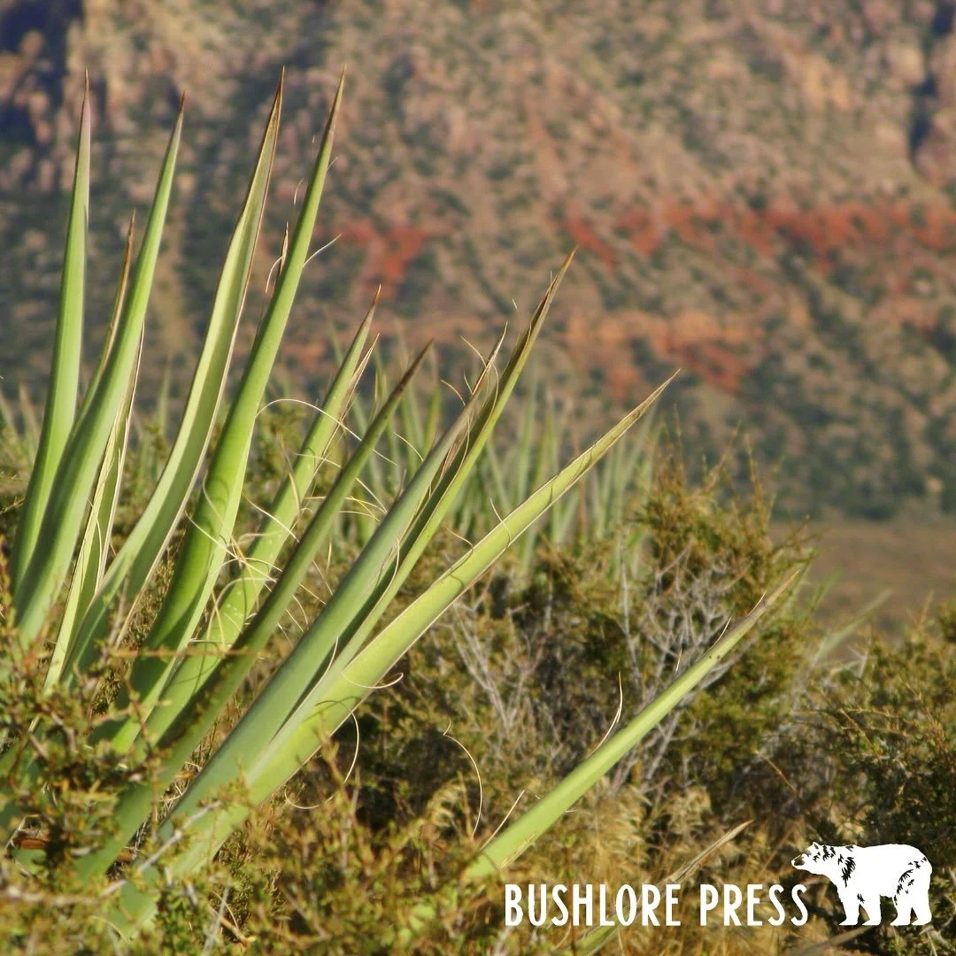 Hands carry everything...raw hides, fish slime, wild soil, and unseen bacteria. In the backcountry, washing them is one of the simplest ways to prevent illness. You don&rsquo;t need a sink; just a little know-how and the resources available nearby.

