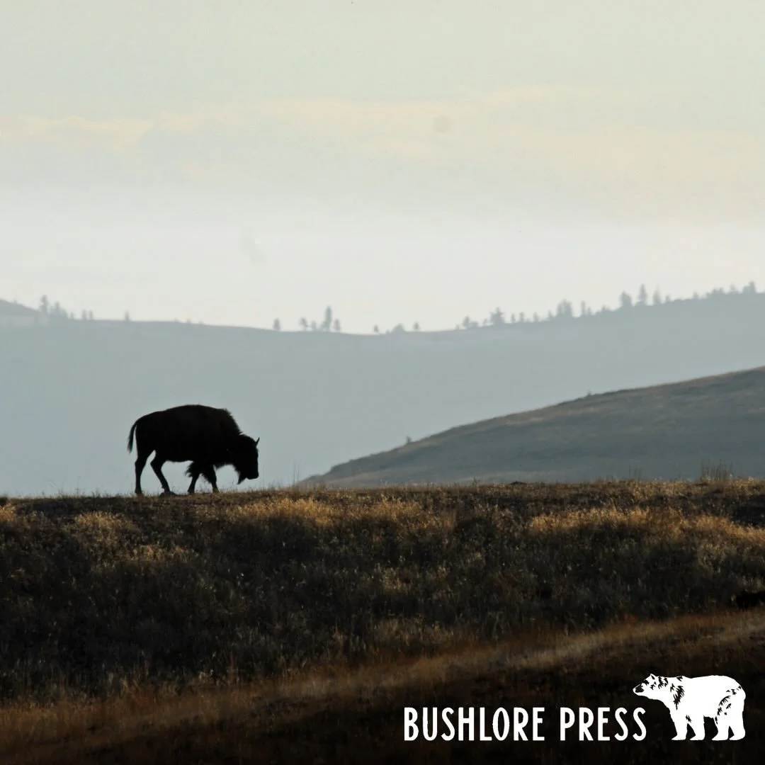 Earth Day gets one day on the calendar. The Earth does not.

You live here. You eat from this ground. You breathe what the trees and waters give. That makes you an Earth person. Not by belief. By fact. Every one of us shares that.

The problem is not