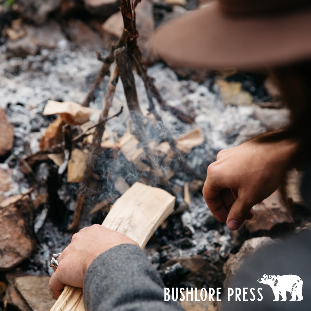 Many people head into the backcountry carrying filters, freeze-dried meals, titanium cookware, and enough synthetic fabric to survive reentry from orbit. Then they ignore the small things. Dirty hands. Wet feet. Food scraps. A neglected cut. Hygiene 