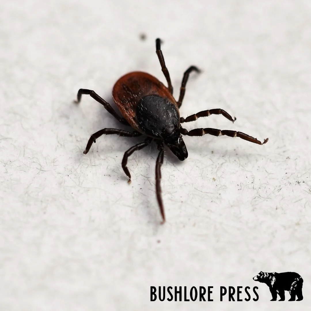 It&rsquo;s that time of year again, and we are already seeing a rise in tick bites and tick-borne disease.

While working in the yard a few days ago, I discovered a tick attached to my ankle. I spend a lot of time outdoors, but this was a good remind