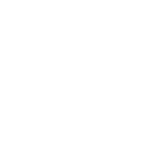 Intentional Living with Lara