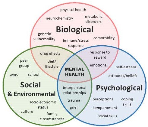 biopsychosocial model of mental health essay
