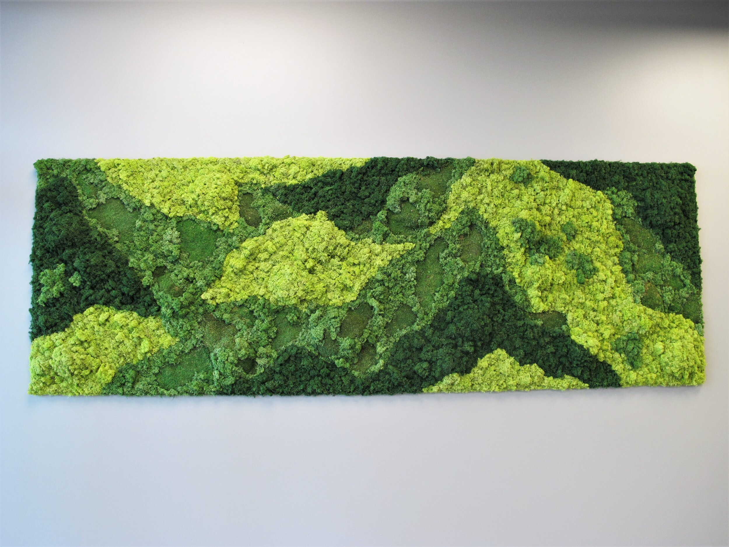 moss wall.jpg