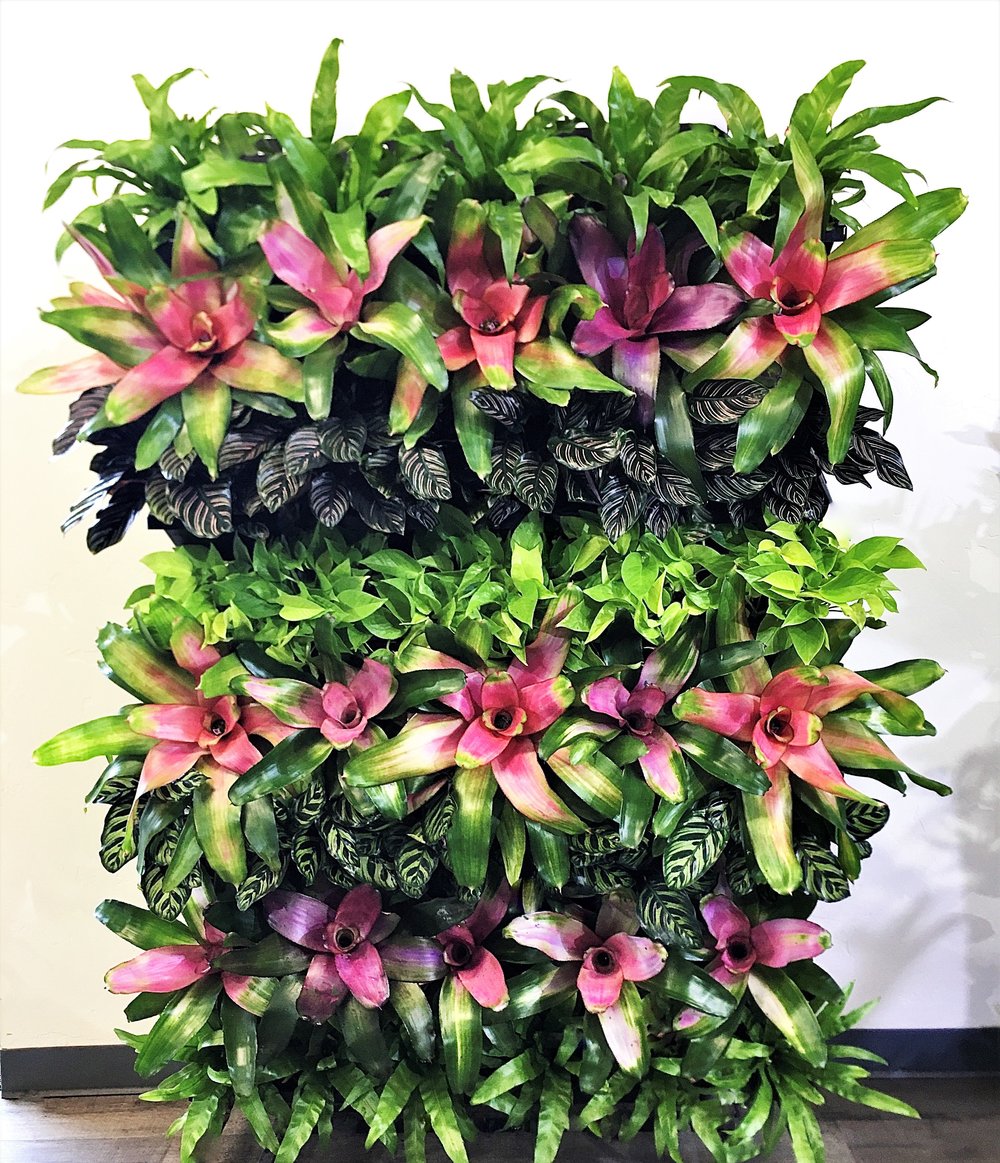 portable living wall blooms in rows cropped.jpg