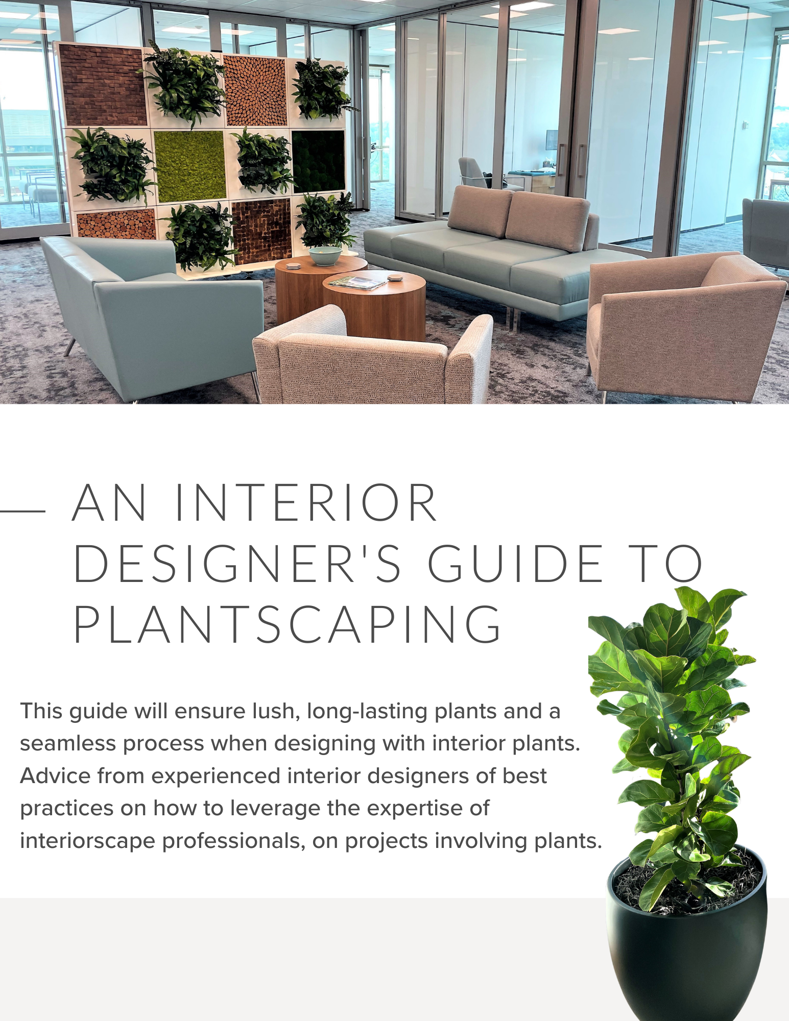 Interior Designer Guide to Plants