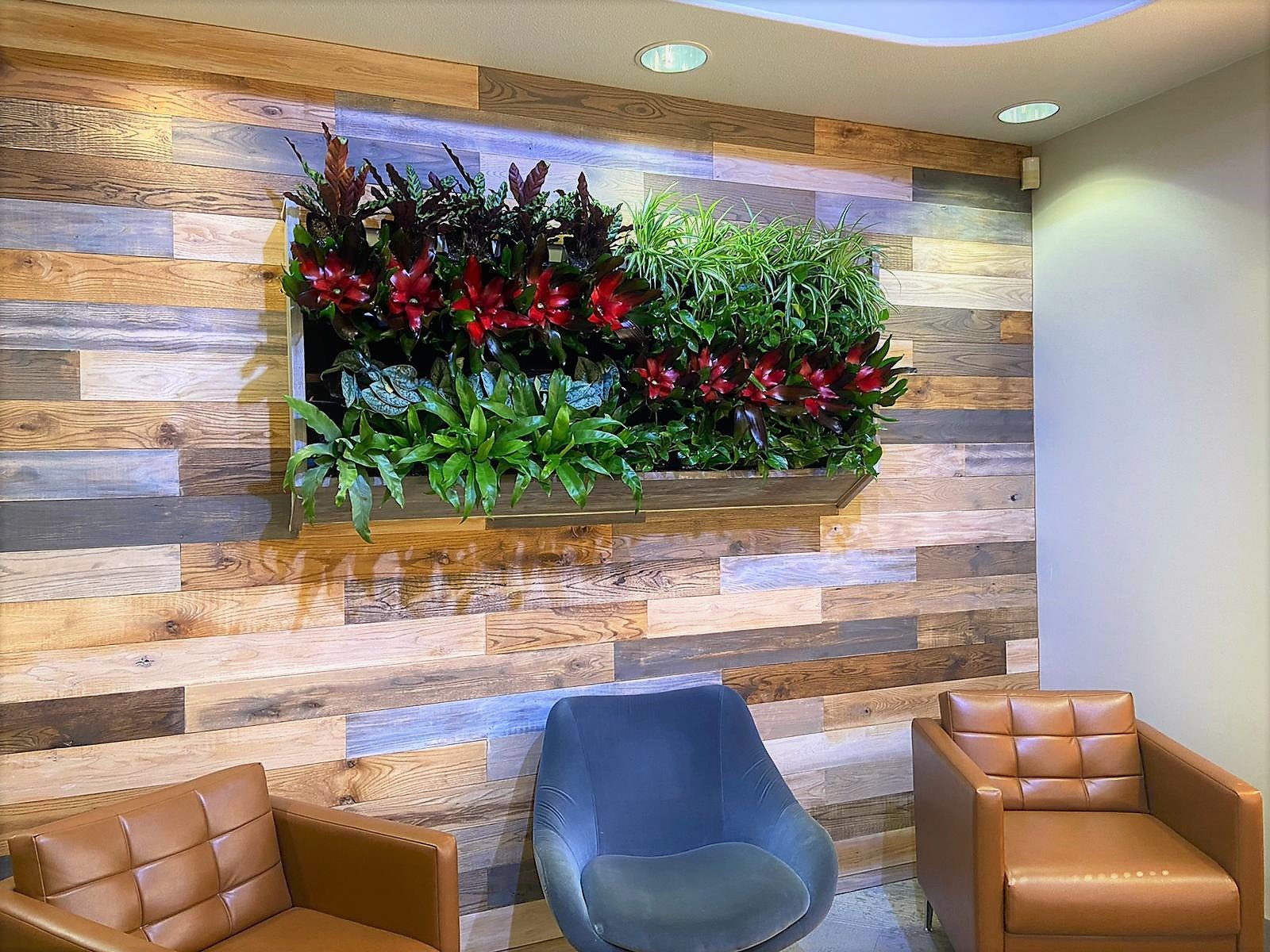 Living Wall with Blooms