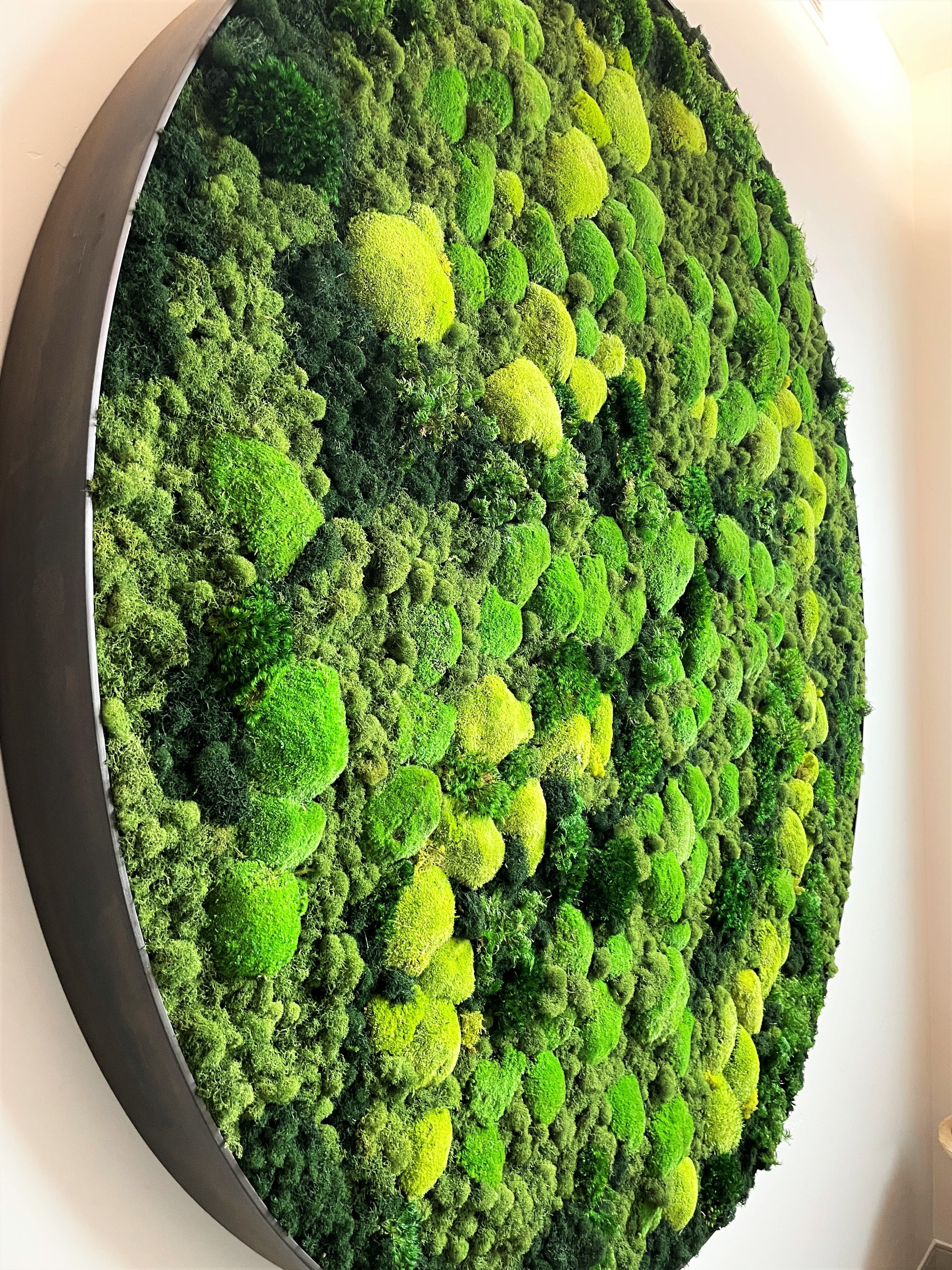 round custom moss wall Biome RNU closeup.jpg