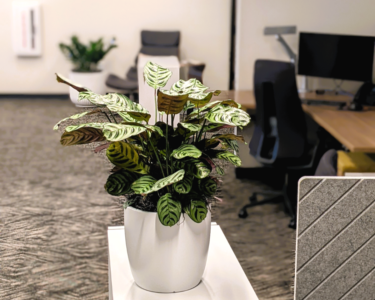 Is AI De-Humanizing Your Workplace?