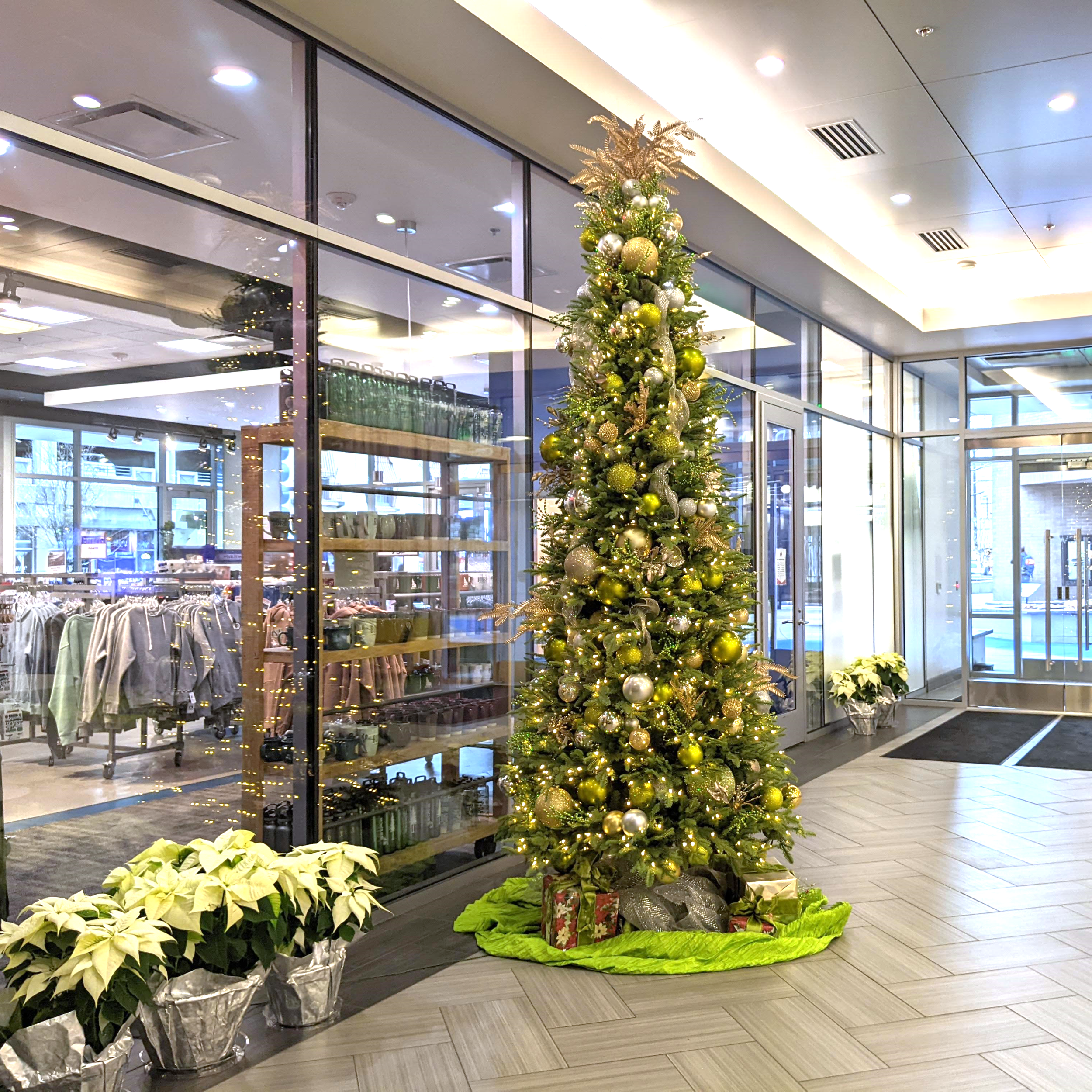 BIOME ChtrTree white poinsettias.png