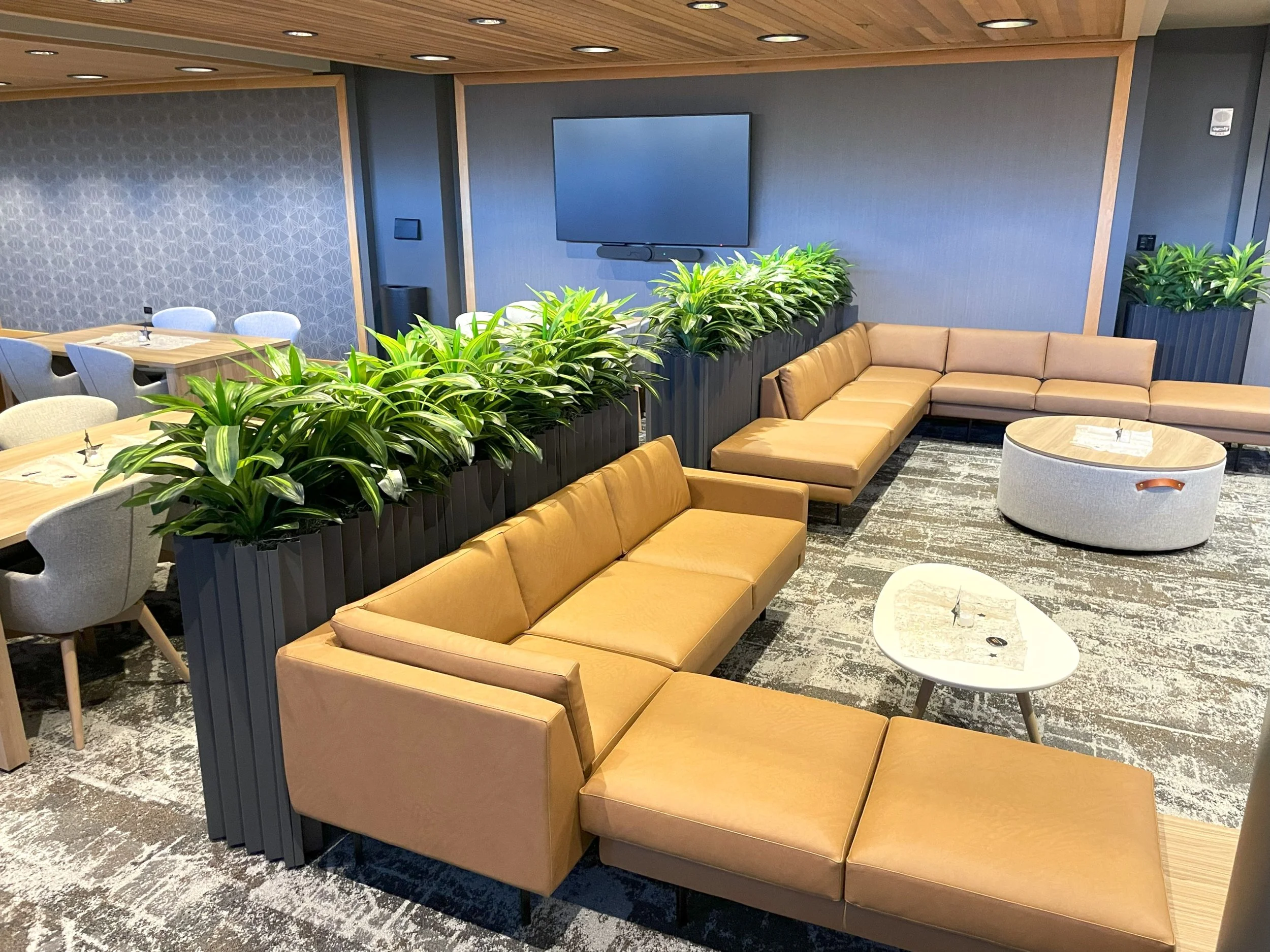 0225 Biome replica hz drac couch MRSN.jpg