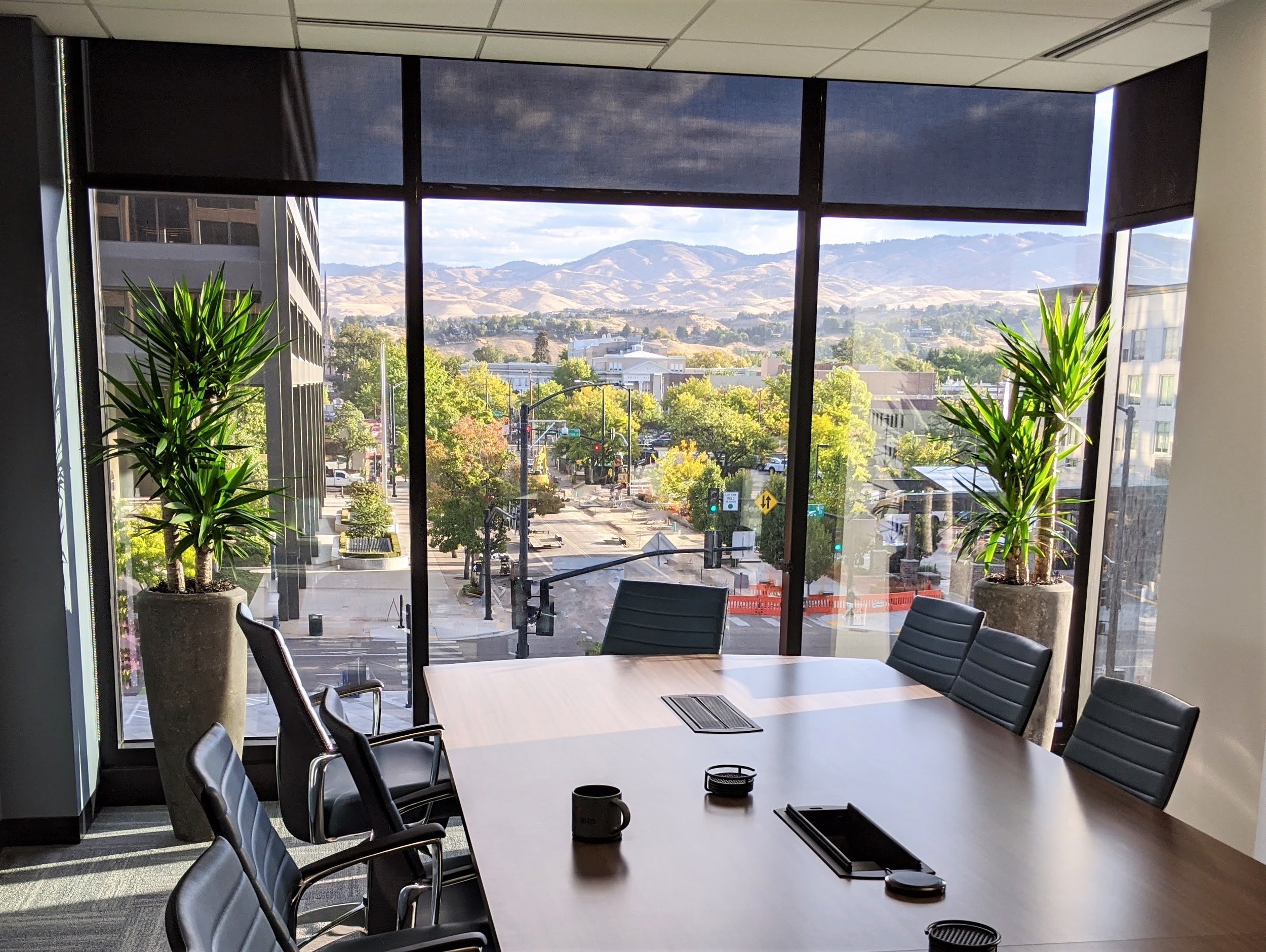 0922 tall plant containers conference room morning light biome client TLO.jpg