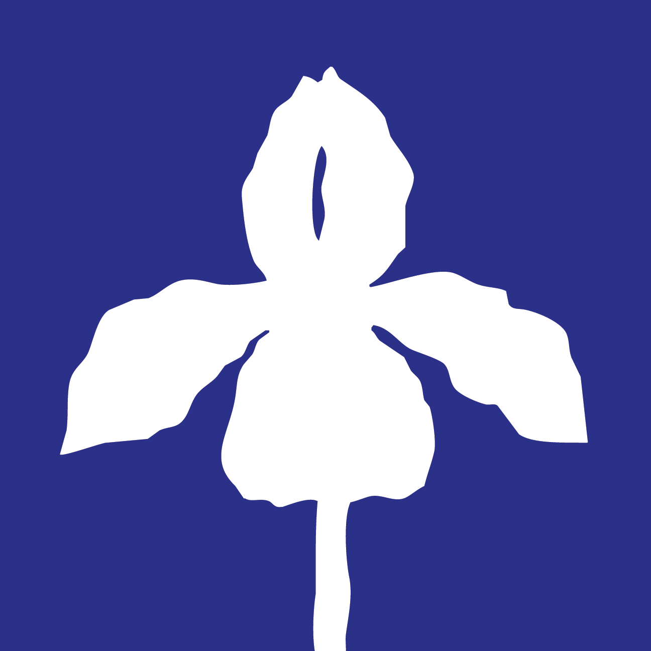 Iris Project
