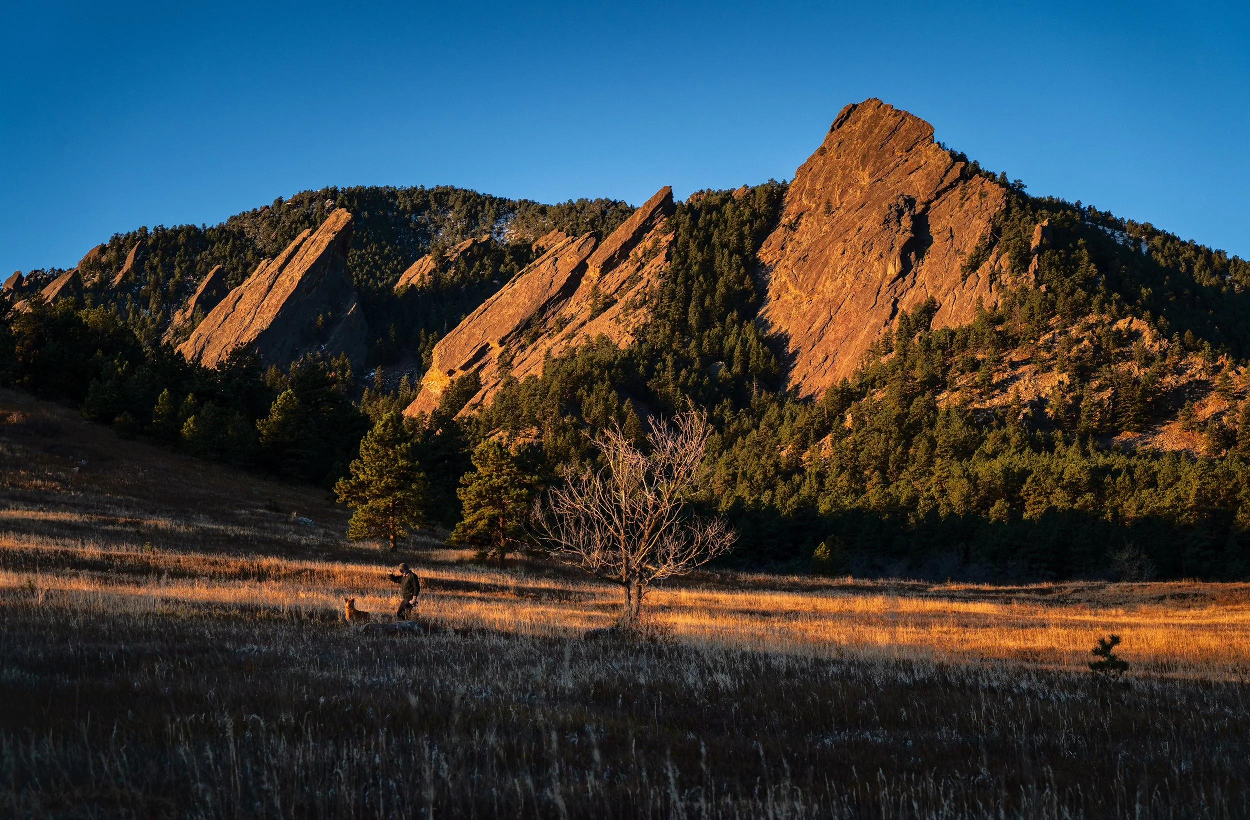 Colorado Snow day_v2.jpg