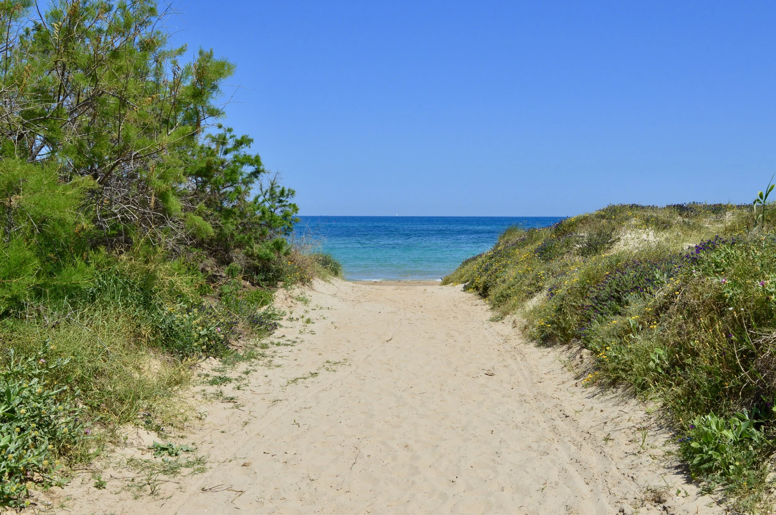 DSC_0859 copy 2.jpeg