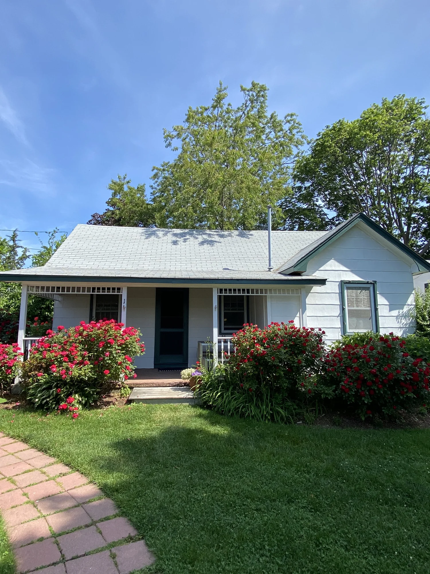 One — Cottage Cove