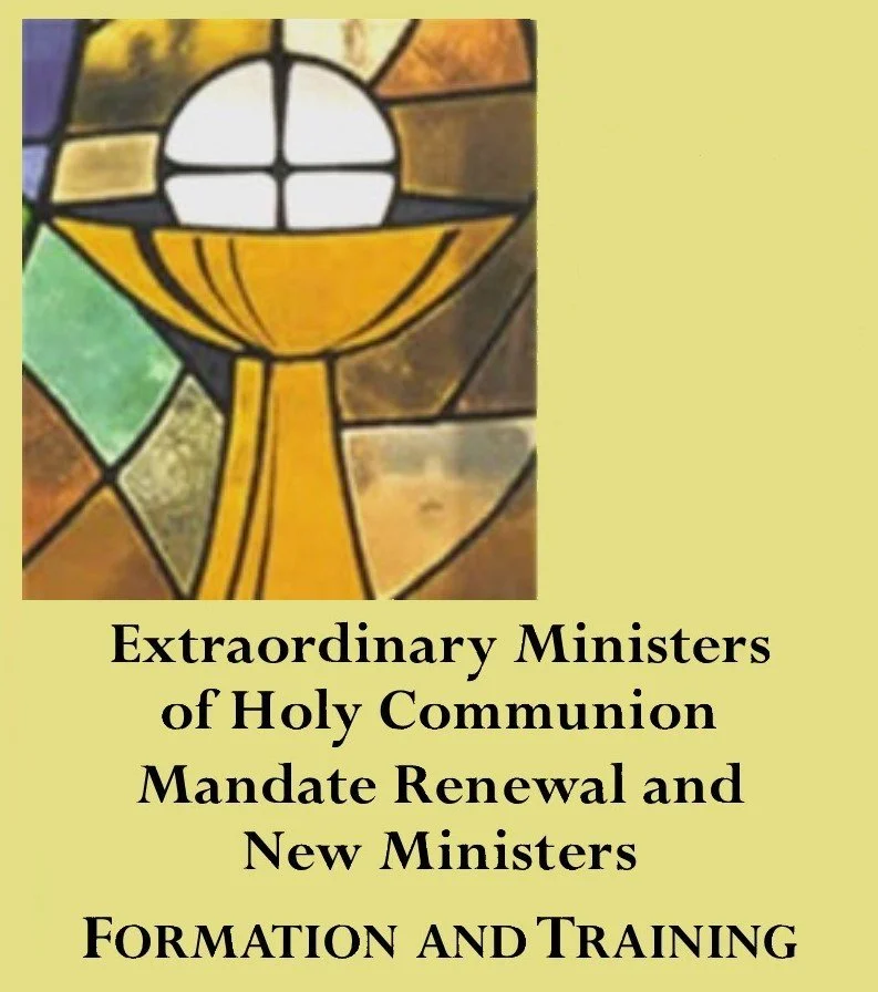 645 p.m. Extraordinary Ministers of Holy Communion Mandate Renewal and New Ministers Formation
