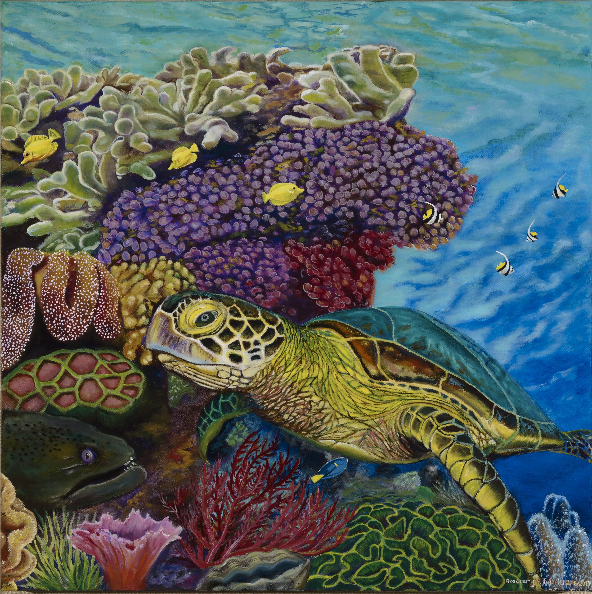 Honu