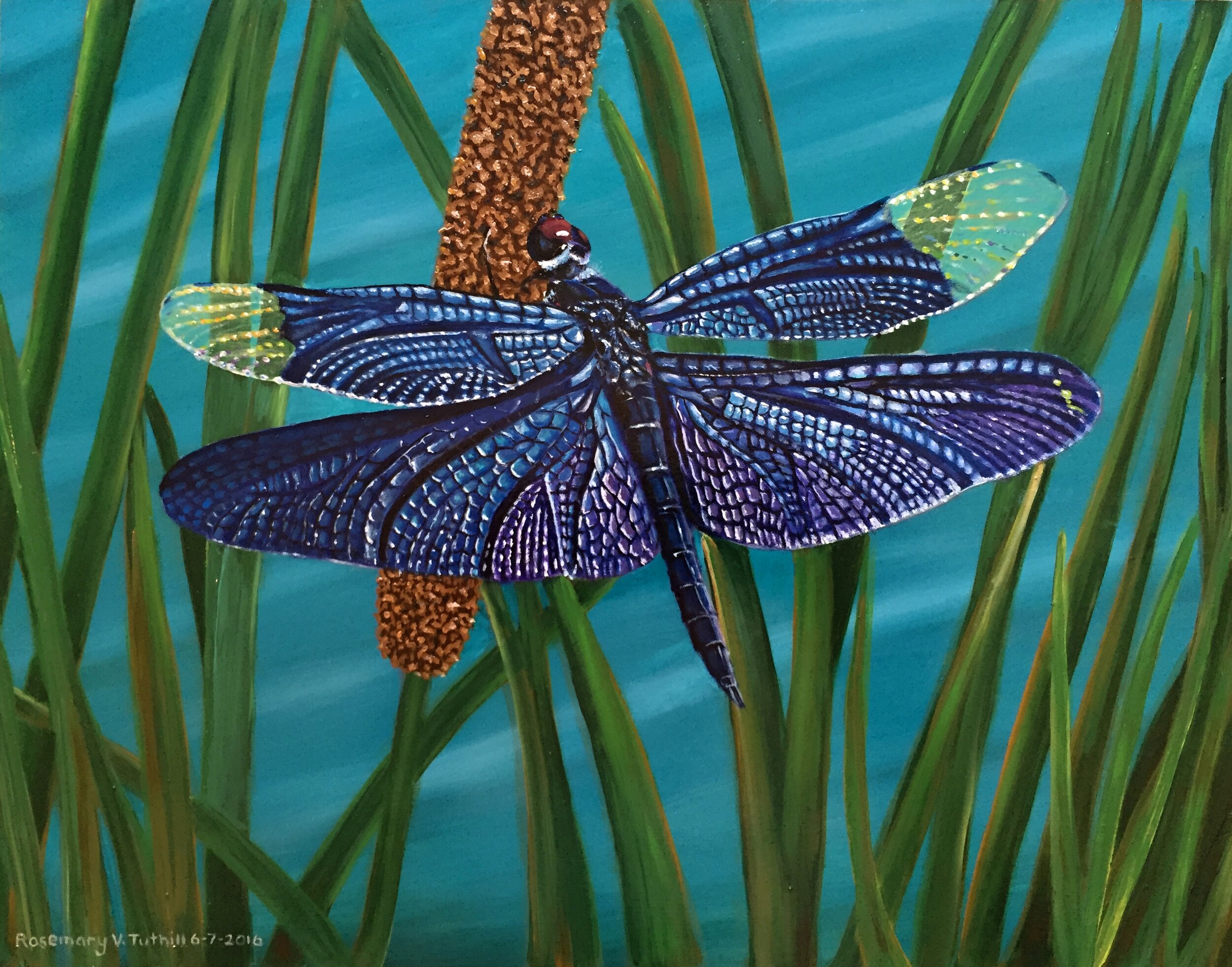 Dragonfly